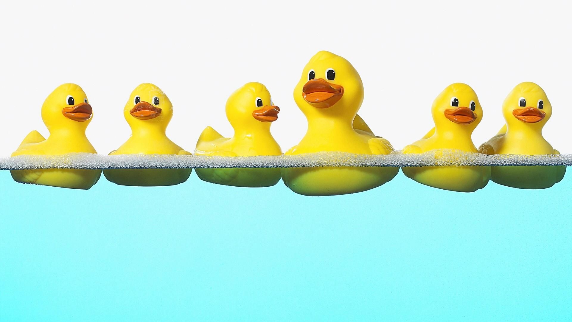 1920x1080 Rubber Ducks FB Cover. Duck wallpaper, Rubber duck, Baby ducks, Desktop