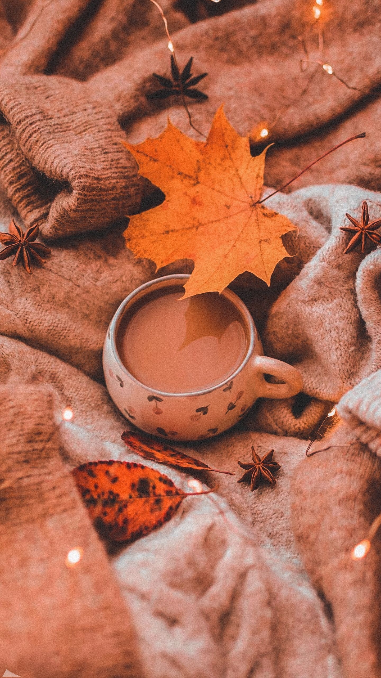 1440x2570 Fall vibes coffee and Sweater #octoberwallpaper Fall vibes coffee and Sweater. iPhone wallpaper fall, Fall wallpaper, Autumn photography, Phone