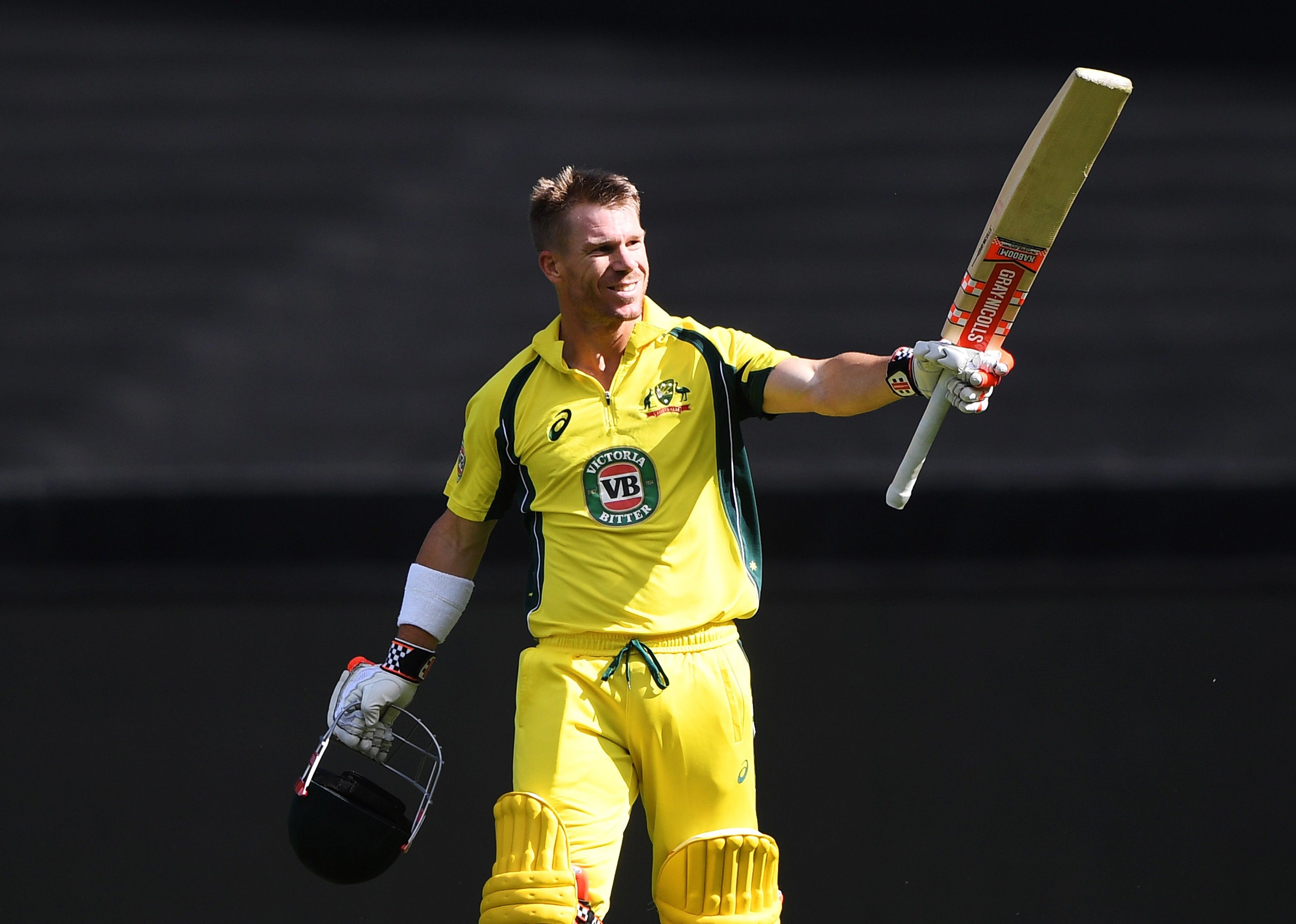 3600x2570 David Warner Australian Cricketer in Cricket World Cup 2019 4K, Desktop