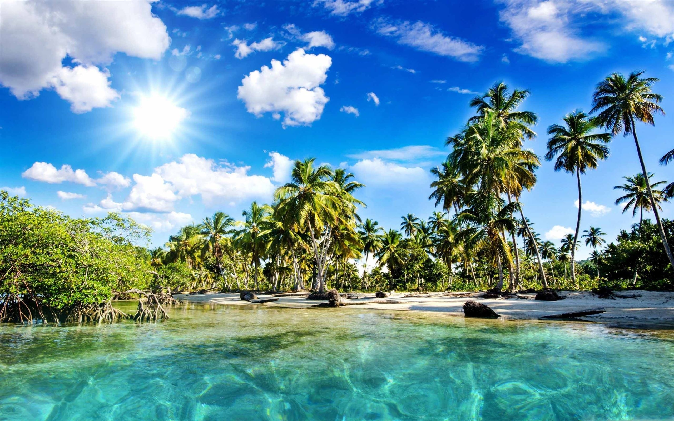 2560x1600 Tropics Palm Trees Sun Beach MacBook Air Wallpaper Download, Desktop