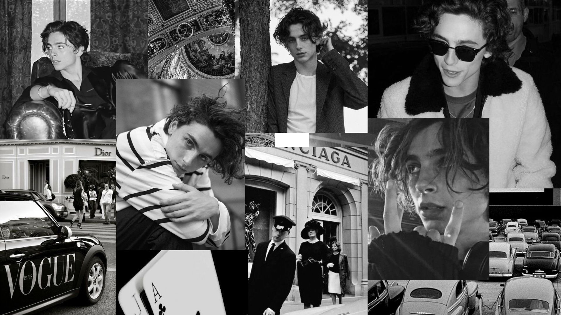 1920x1080 Timothee Chalamet Desktop Wallpaper. Cute desktop wallpaper, Wallpaper notebook, Computer wallpaper desktop wallpaper, Desktop