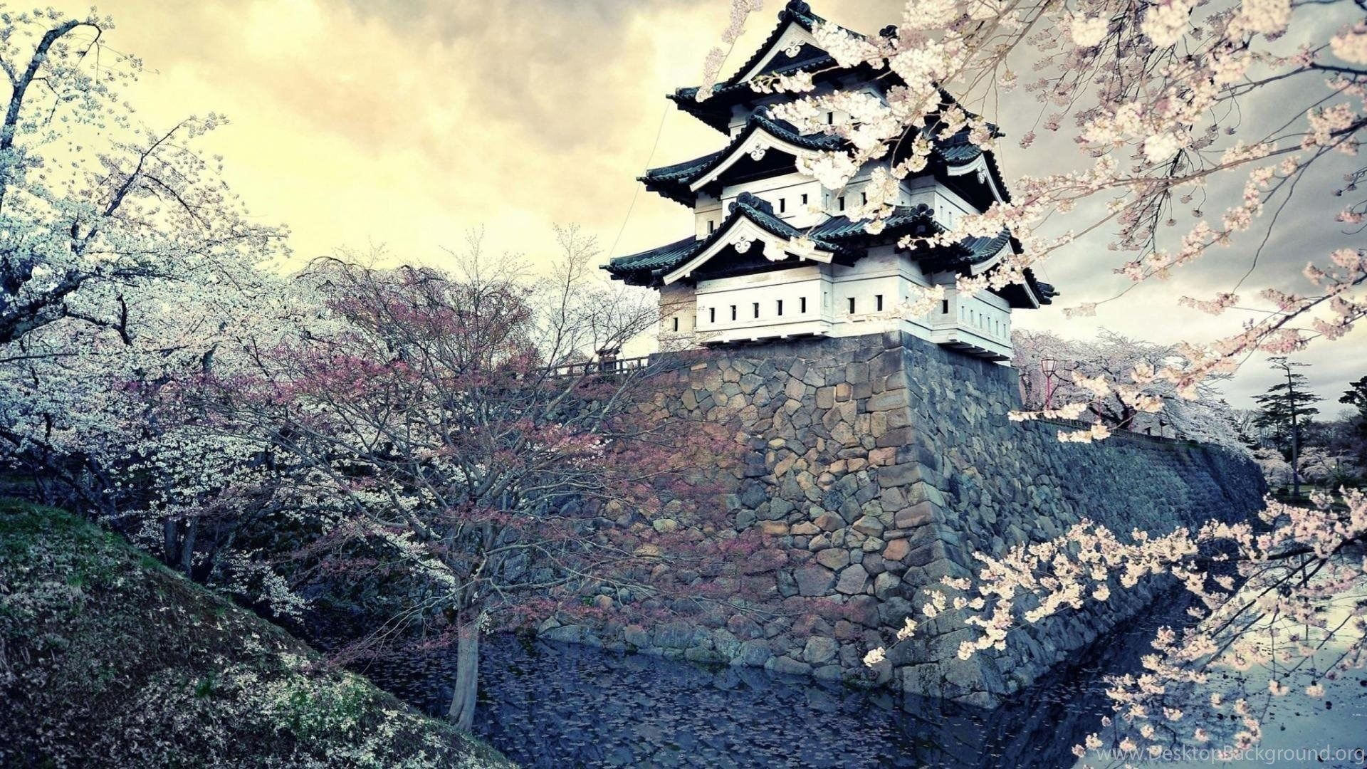 1920x1080 Ancient Japanese Castle In Spring Wallpaper Desktop Background, Desktop