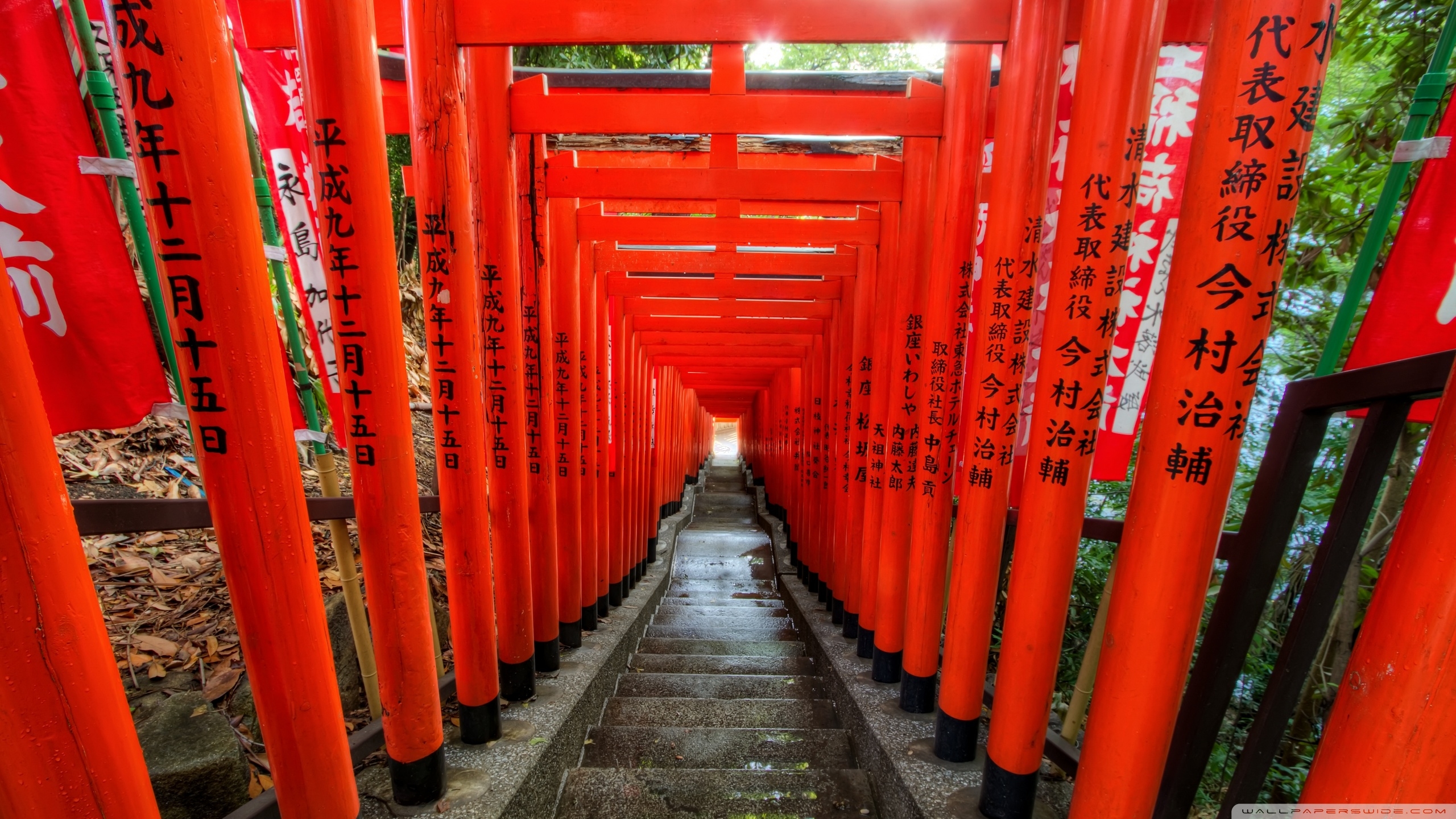 2560x1440 Light at the End of the Torii ❤ 4K HD Desktop Wallpaper for 4K, Desktop