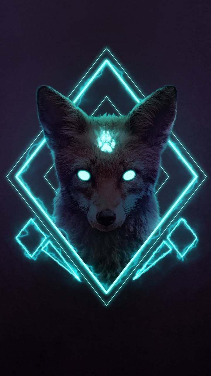 720x1280 Blue Fox wallpaper, Phone