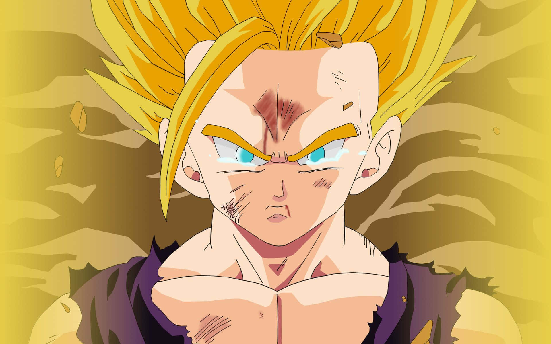 1920x1200 Download Teen Gohan Wallpaper, Desktop