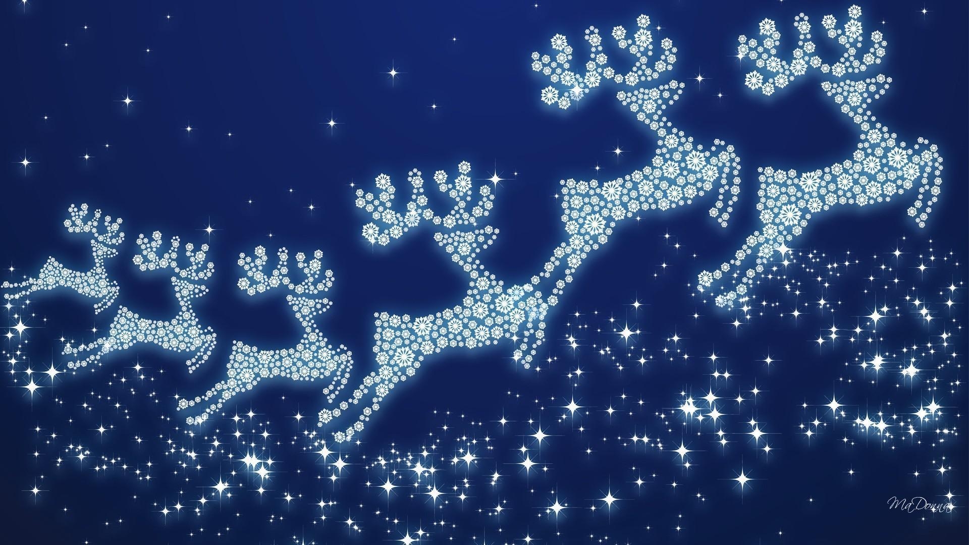 1920x1080 Wild Reindeer HD Wallpaper Wallpaper Inn, Desktop