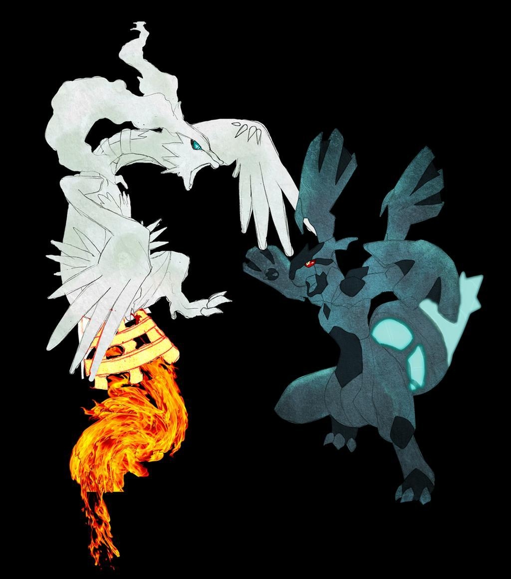 1030x1170 Pokemon Black White Gambar Zekrom And Reshiram HD Wallpaper, Phone