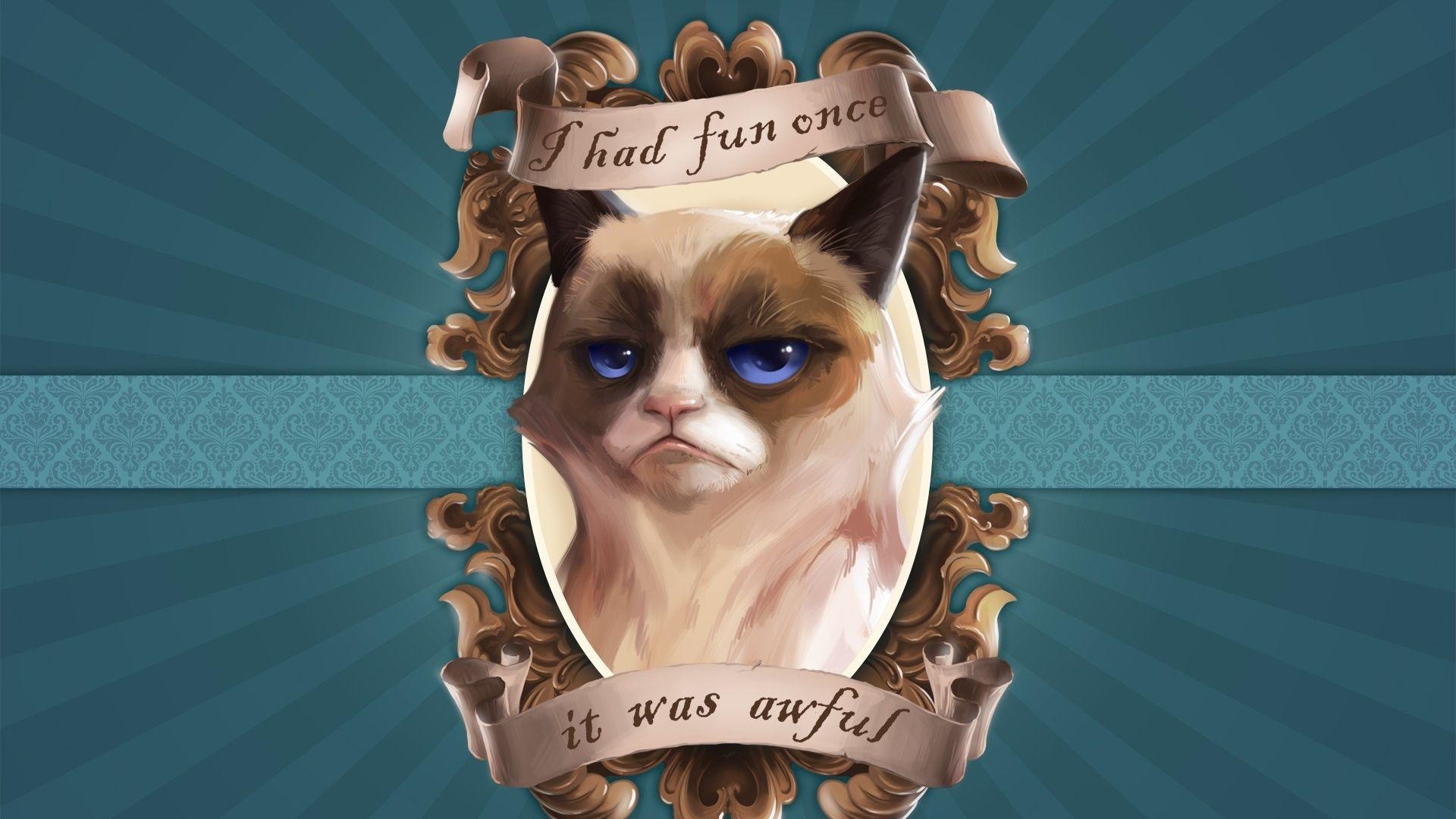 1920x1080 Full HD 1080p Grumpy cat Wallpaper HD, Desktop Background, Desktop