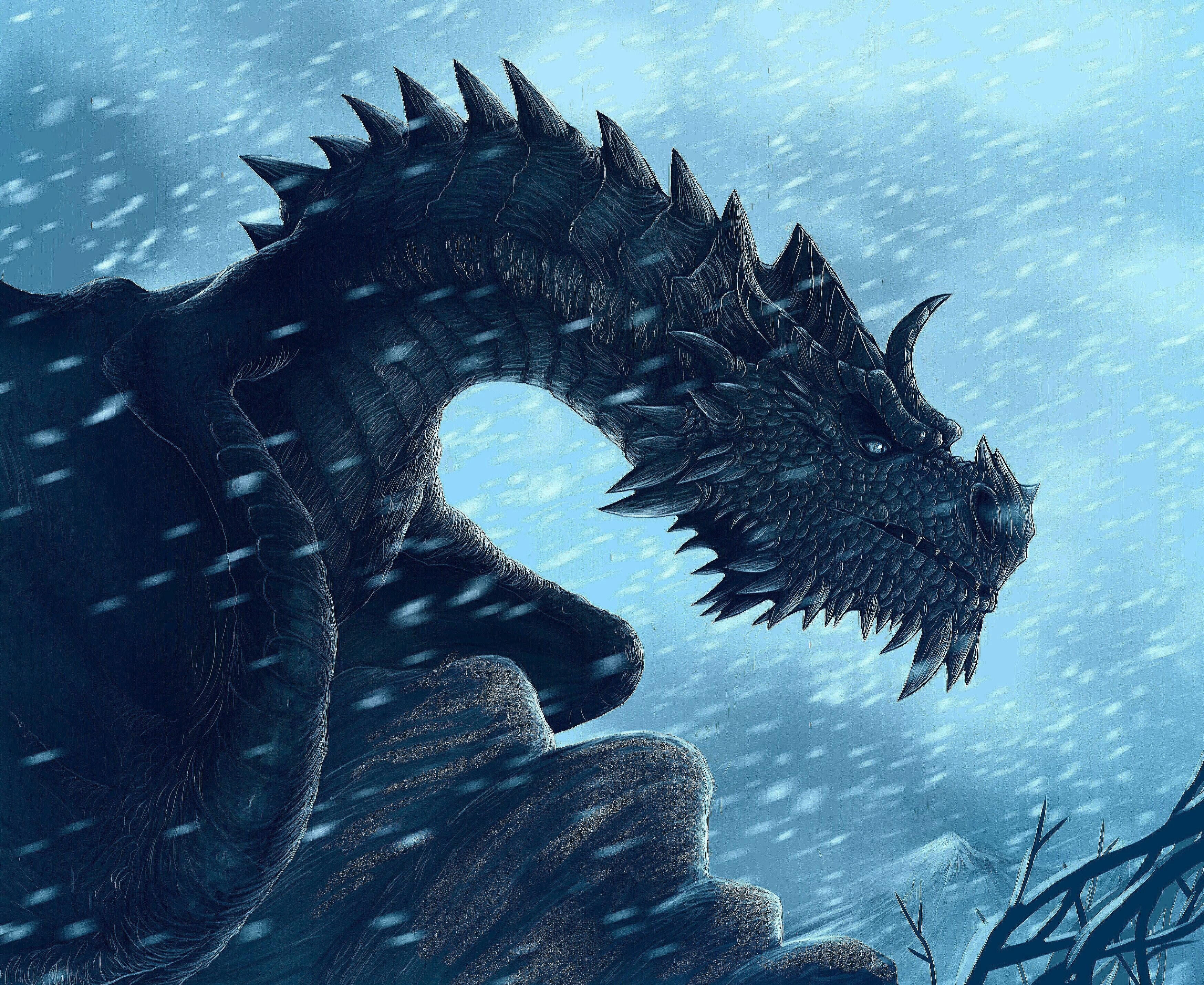 3500x2860 Paarthurnax, Desktop