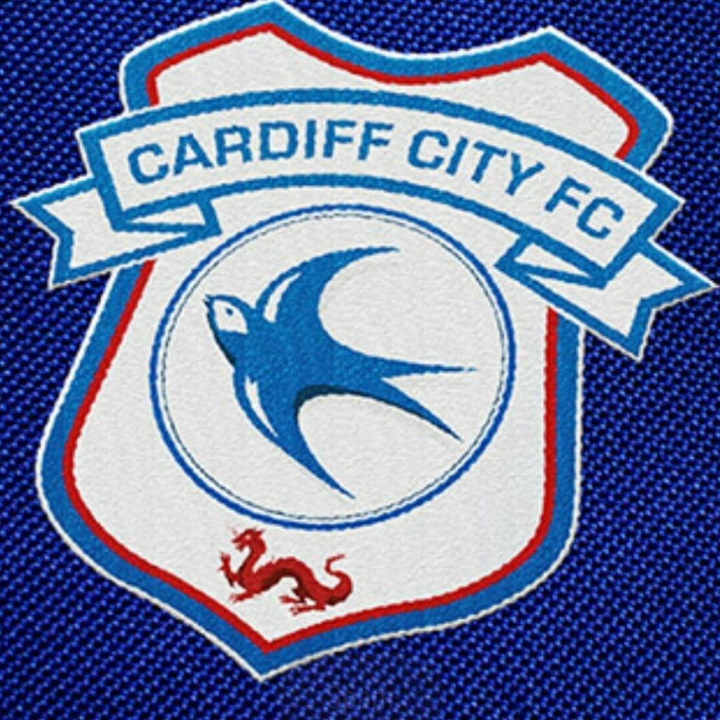 1030x1030 Cardiff City F C Wallpaper HD Background, Phone