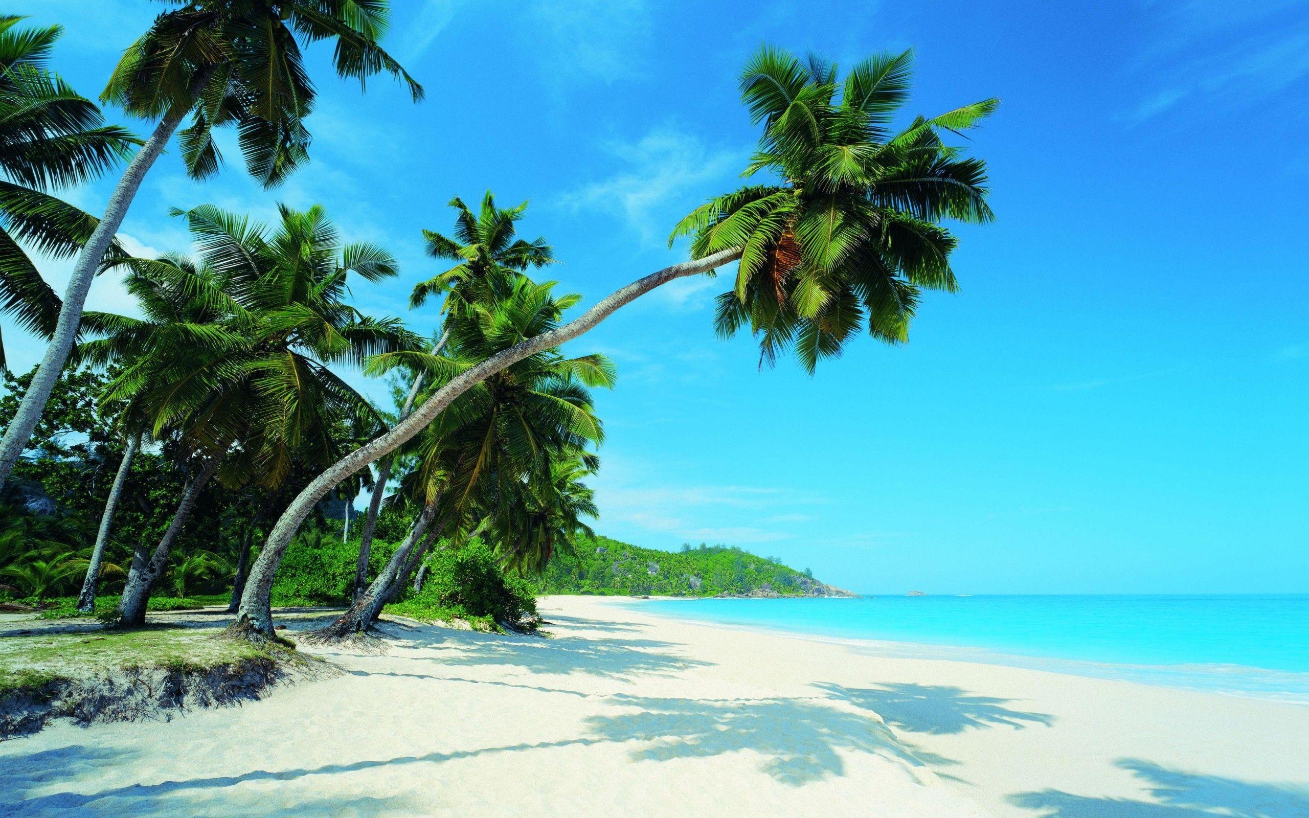 2560x1600 Wallpaper Tropics, Beach, Sea, Shadow HD, Picture, Image, Desktop