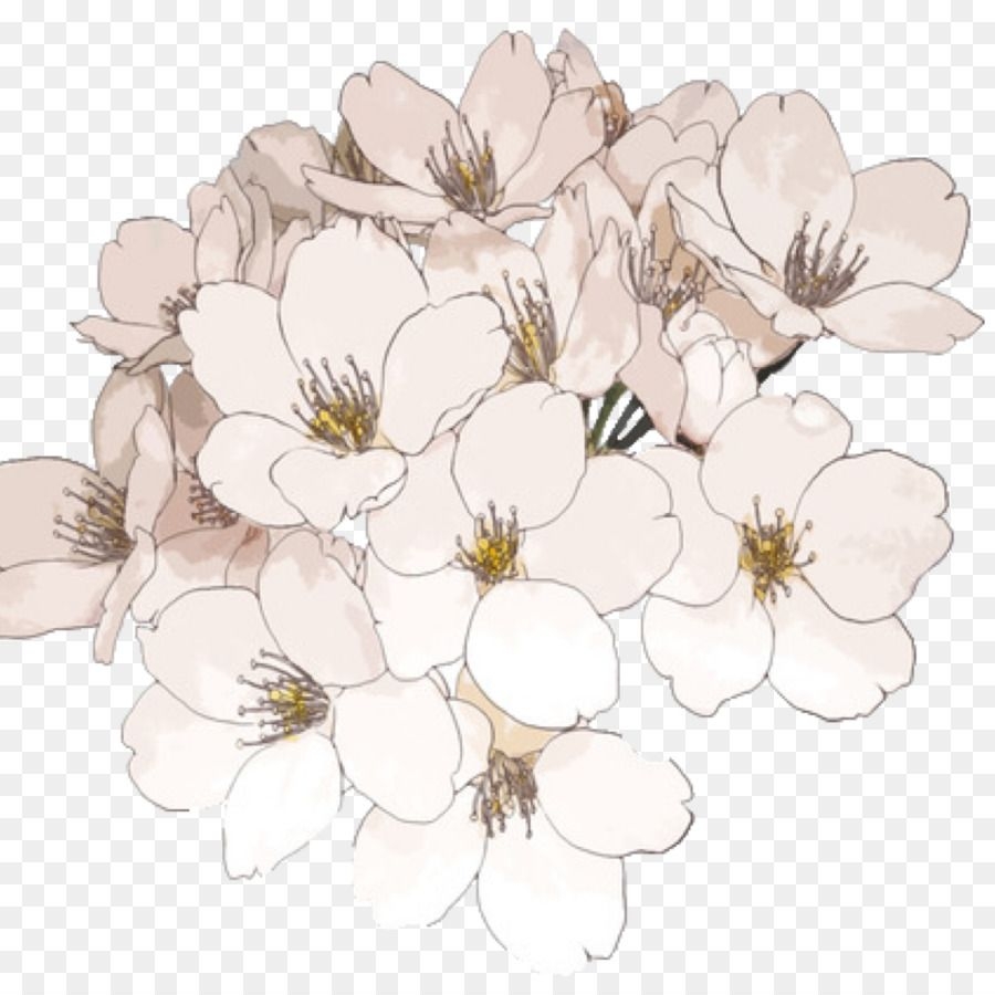 900x900 Free Transparent Flower Drawing Tumblr, Download Free Clip Art, Free Clip Art on Clipart Library, Phone