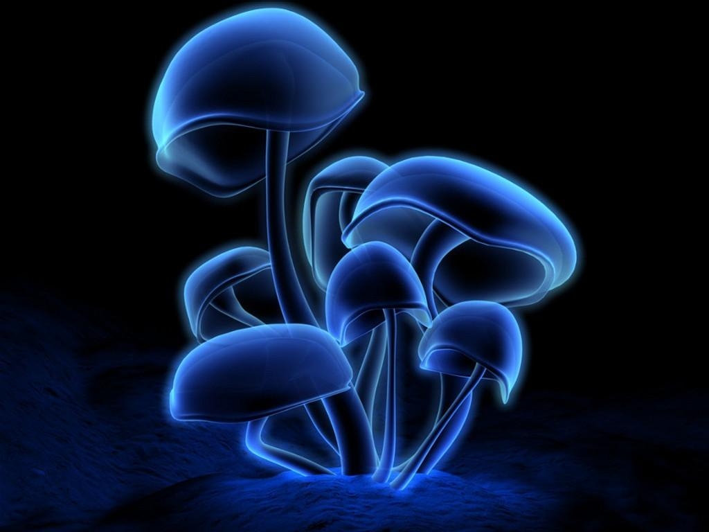 1030x770 3D mushroom wallpaper, Desktop