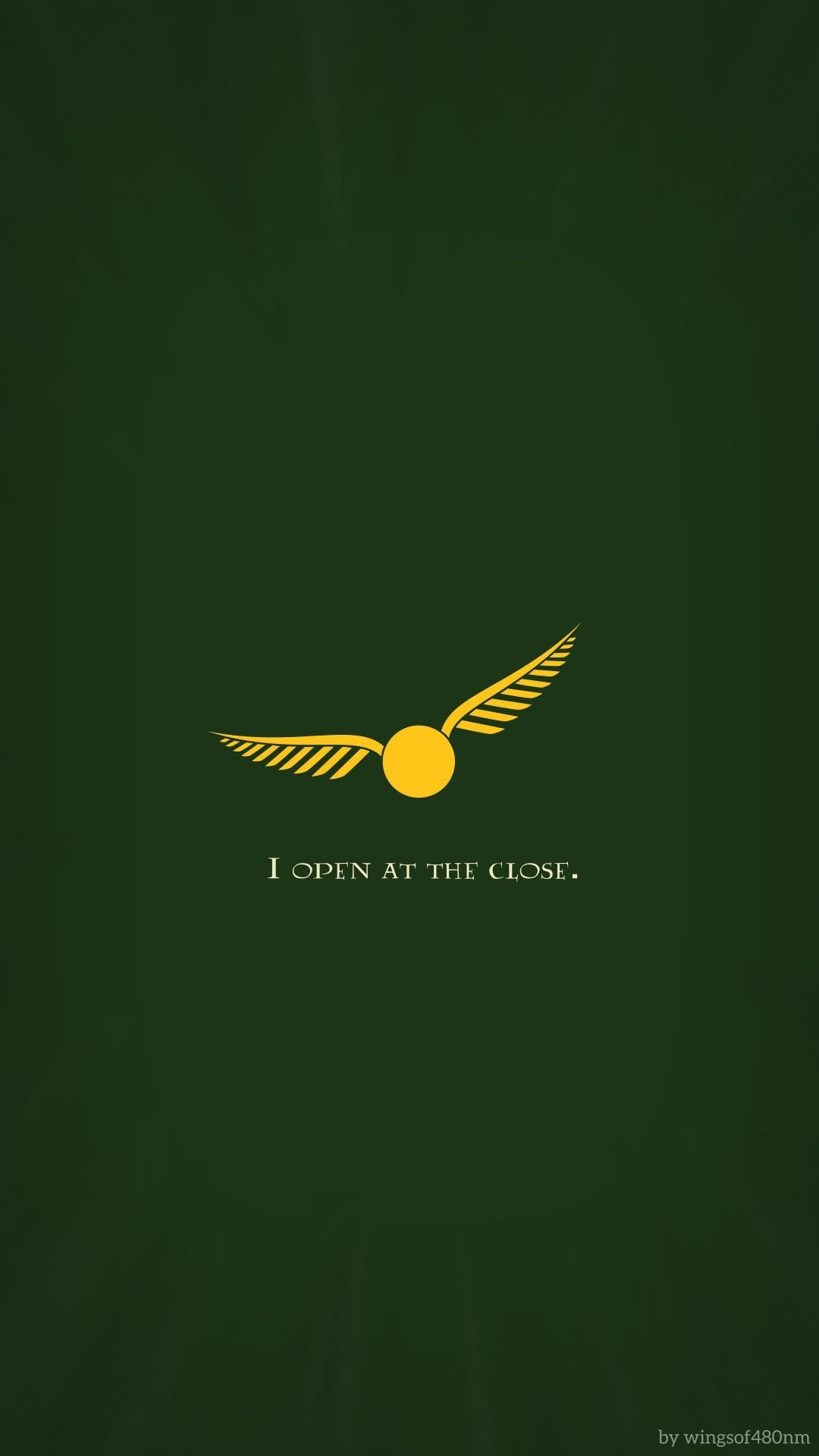 1080x1920 Harry Potter Wallpaper Quidditch, Phone