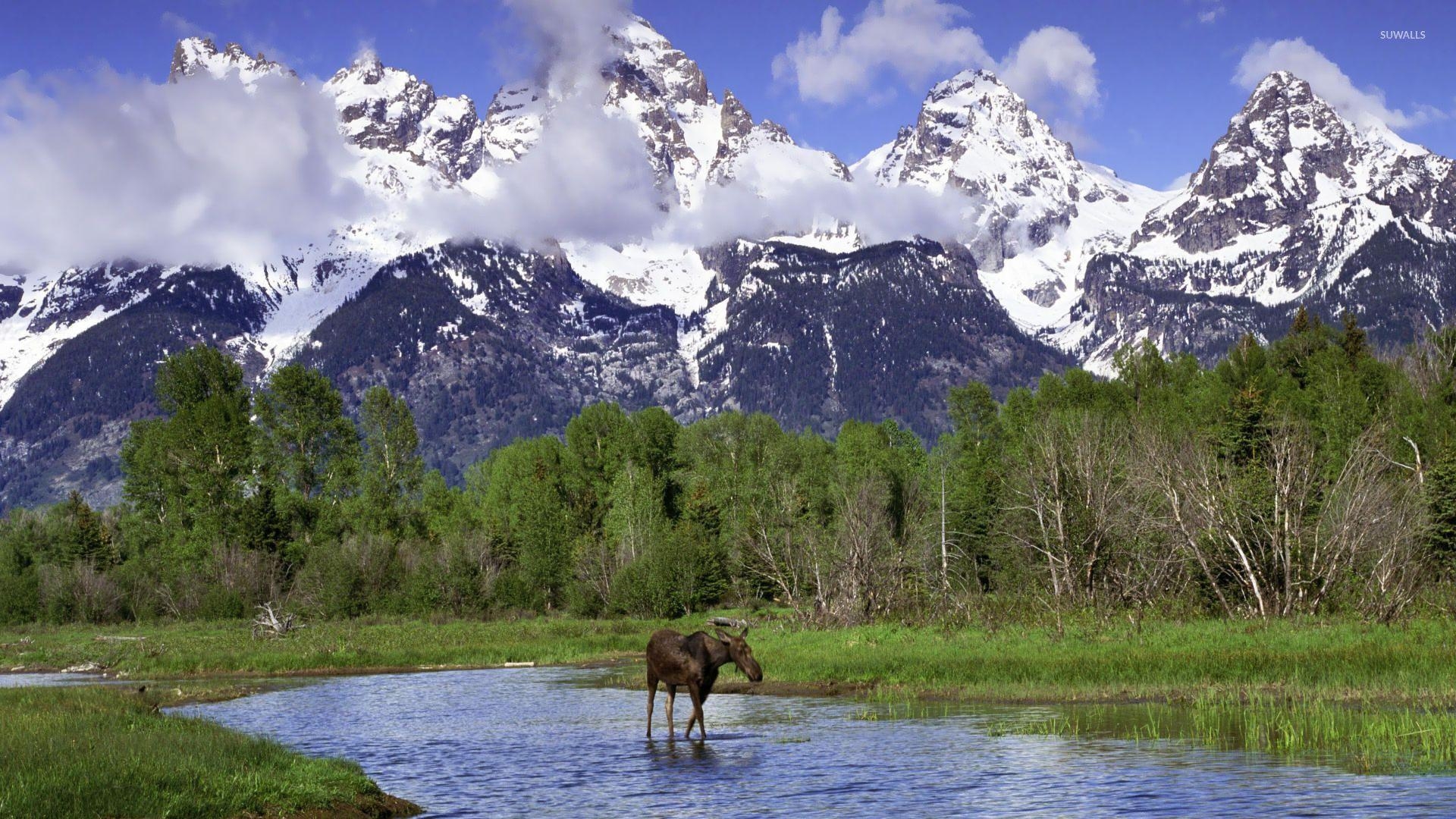 1920x1080 Grand Teton National Park wallpaper, Desktop