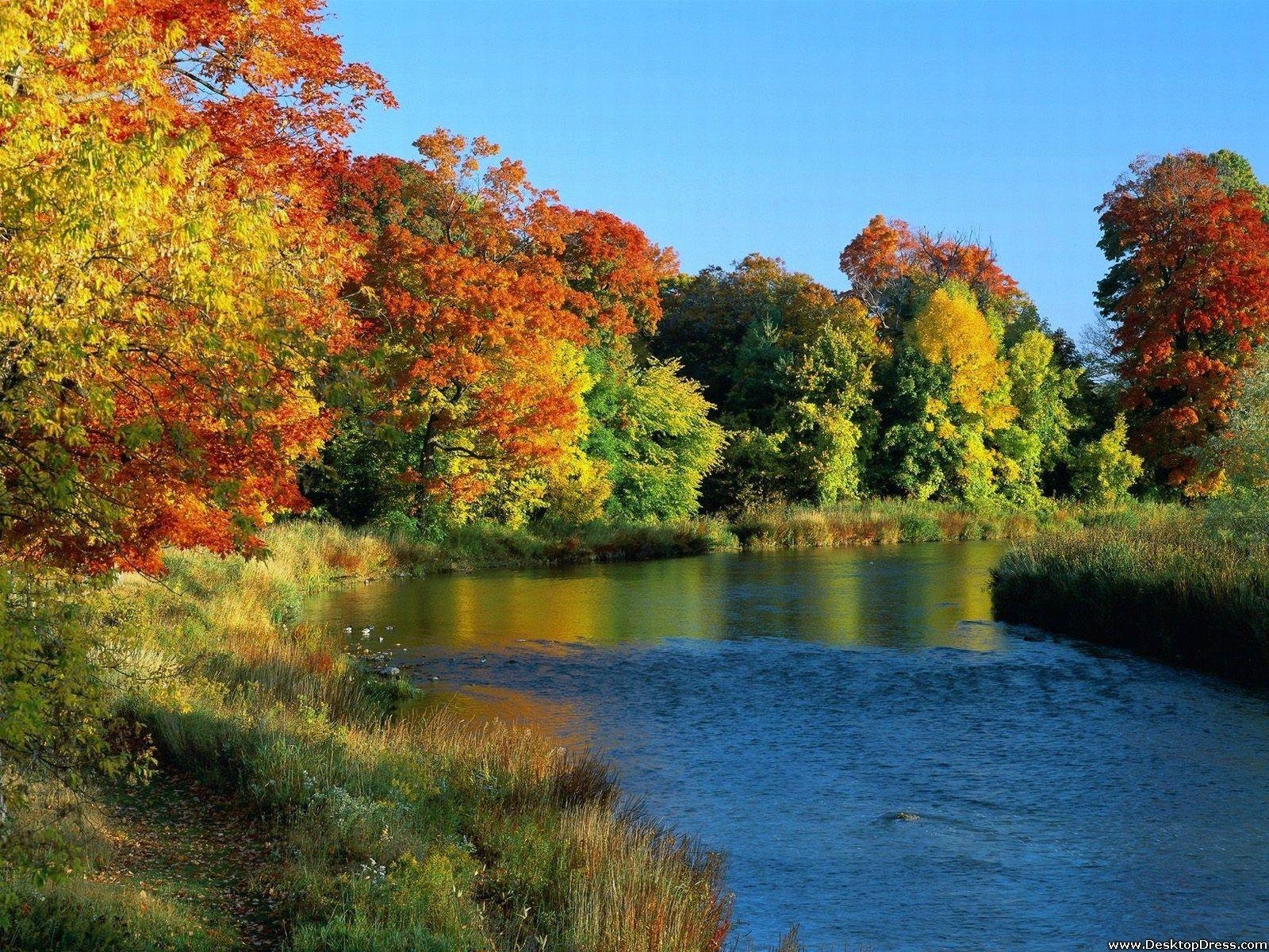 1600x1200 Desktop Wallpaper Natural Background Autumn Reflections, Desktop