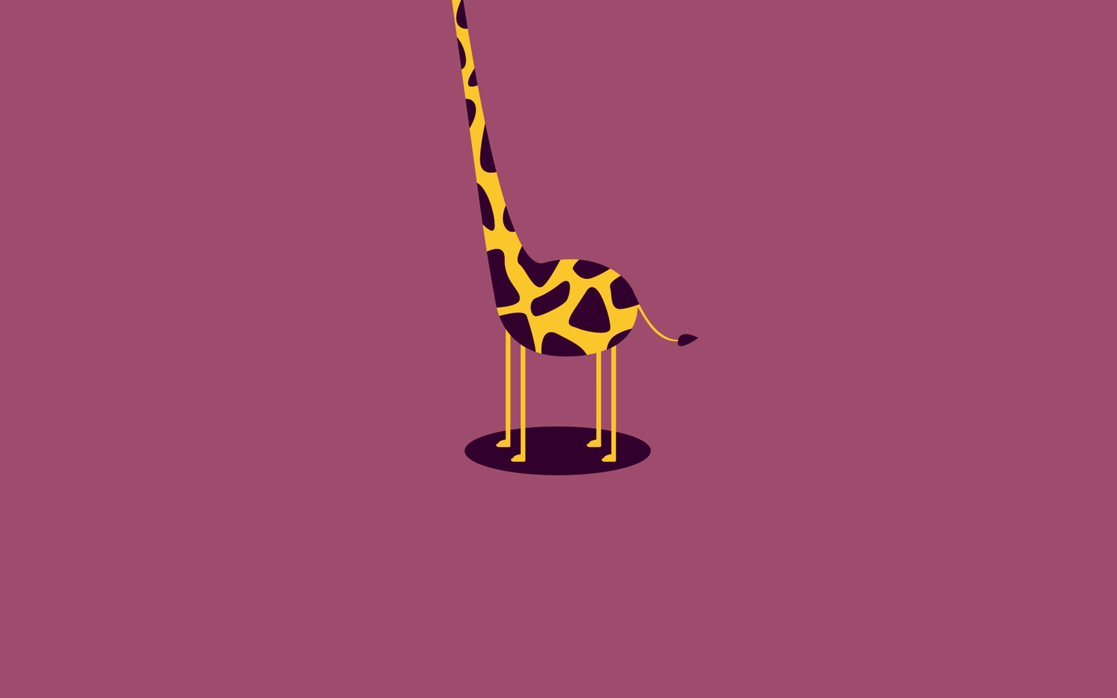 3840x2400 Giraffe Cute Minimal Simple, Desktop