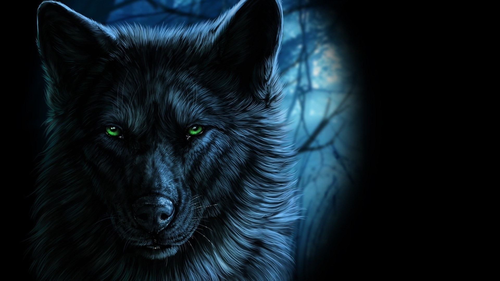 1920x1080 Black Wolf Wallpaper, Desktop