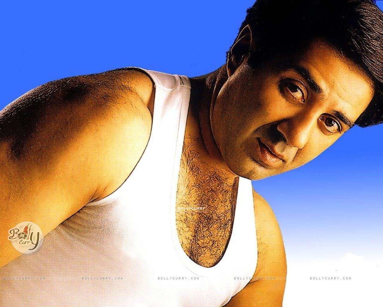 1280x1030 Wallpaper Deol size:, Desktop