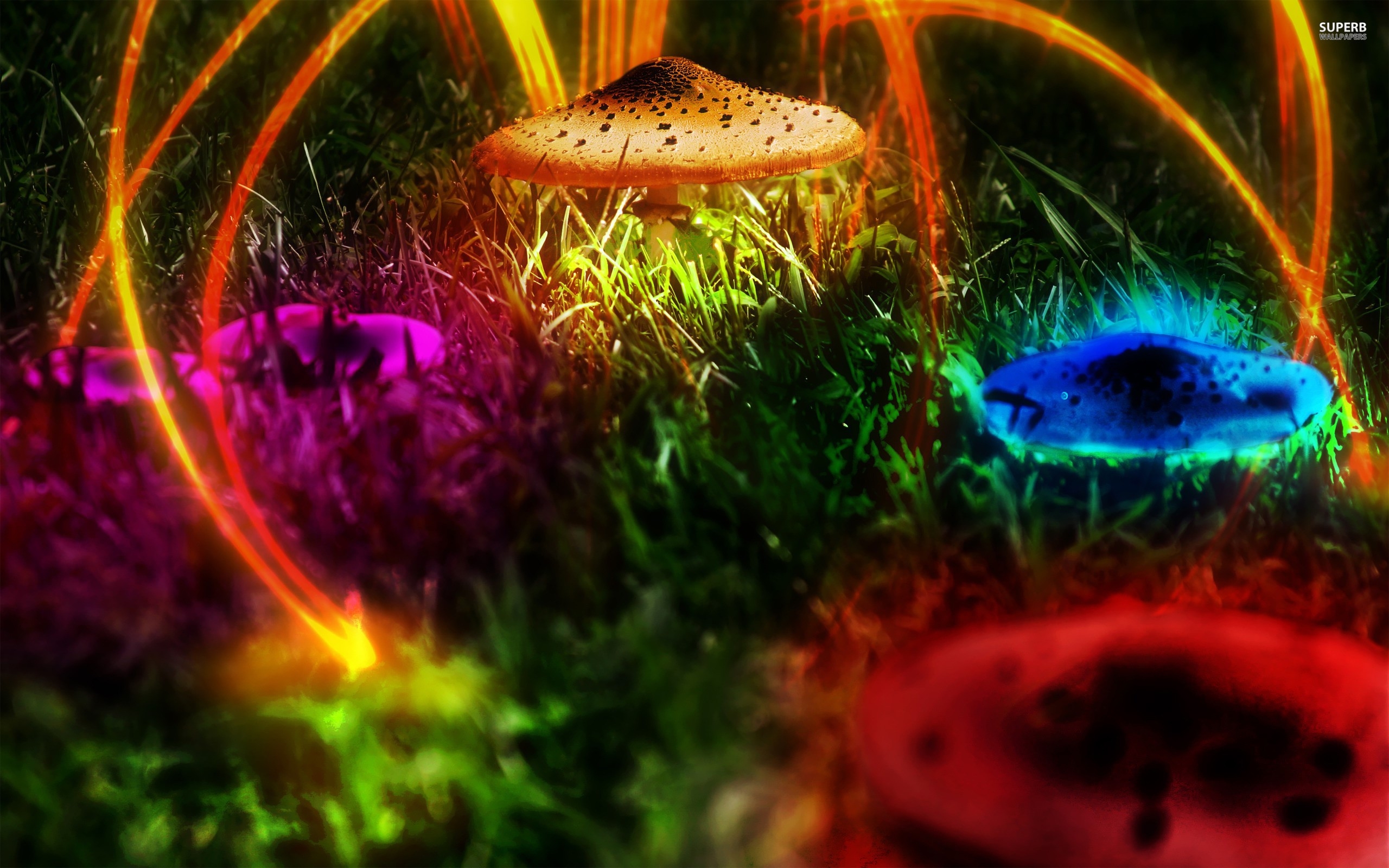 2560x1600 Wallpaper / psychedelic, mushroom, fantasy art, colorful, Desktop