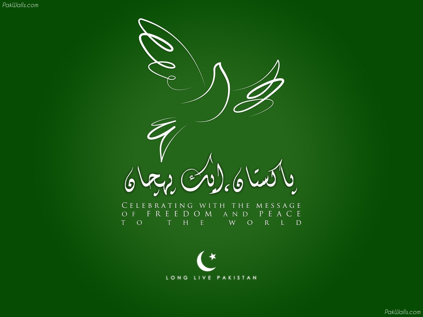 1600x1200 Pakistan Independence Day Wallpaper, Desktop