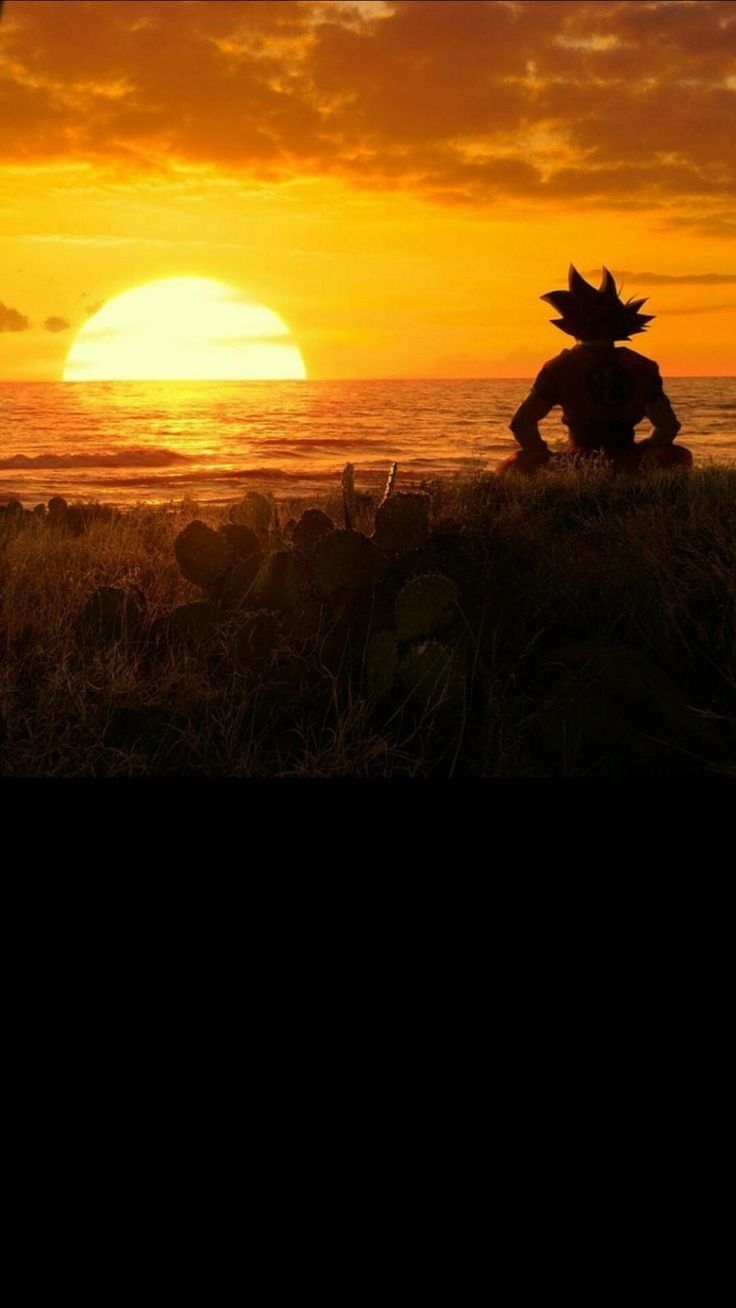 740x1310 Son Goku. Fotos goku, Pantalla de goku, Dragones, Phone