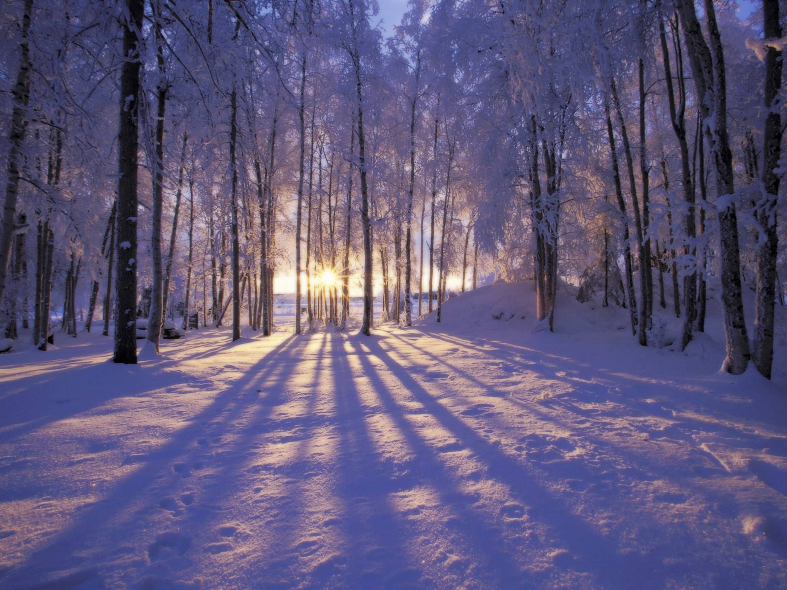 2560x1920 Winter Scenes for Desktop Wallpaper Wallpaper Inn, Desktop