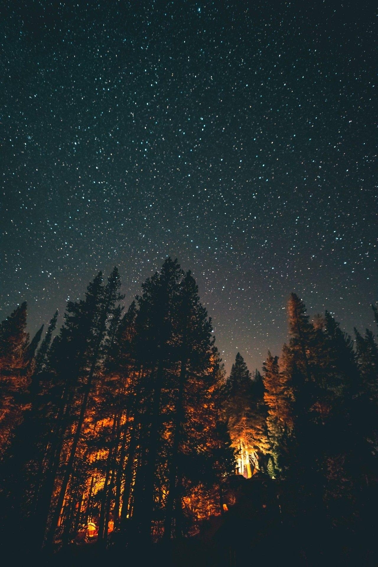 1280x1920 Into the woods under a sky full of stars?. Fall, Phone