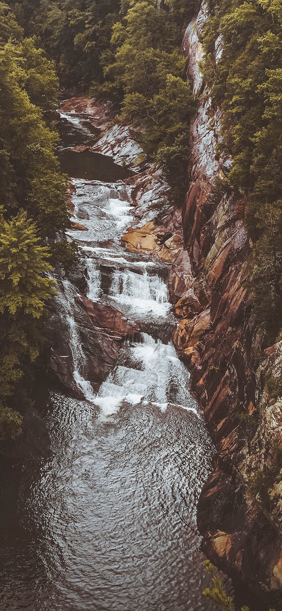 1130x2440 iPhone X wallpaper. mountain fall forest nature, Phone