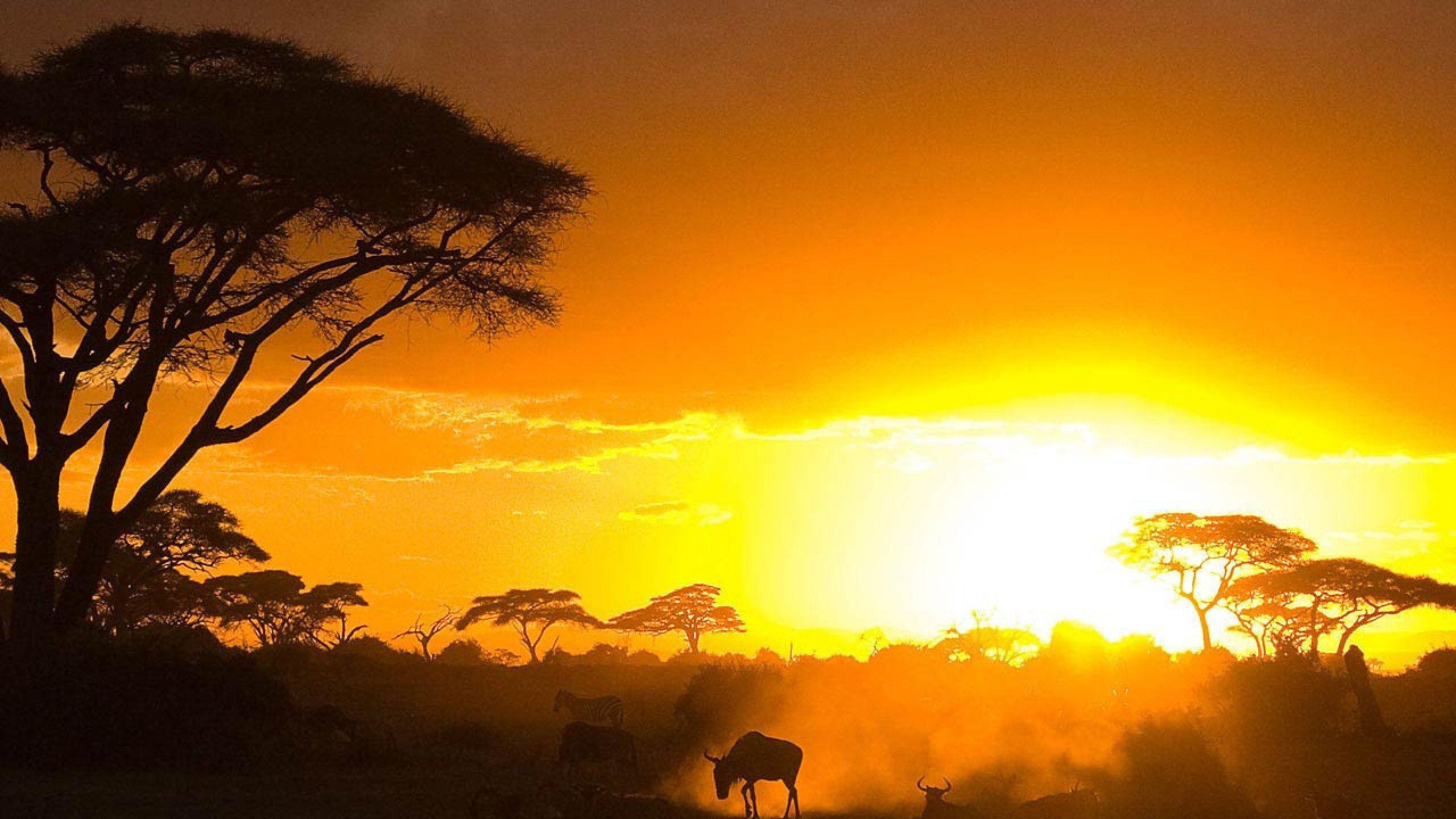 2560x1440 Kenya Sunset Wallpaper, Desktop