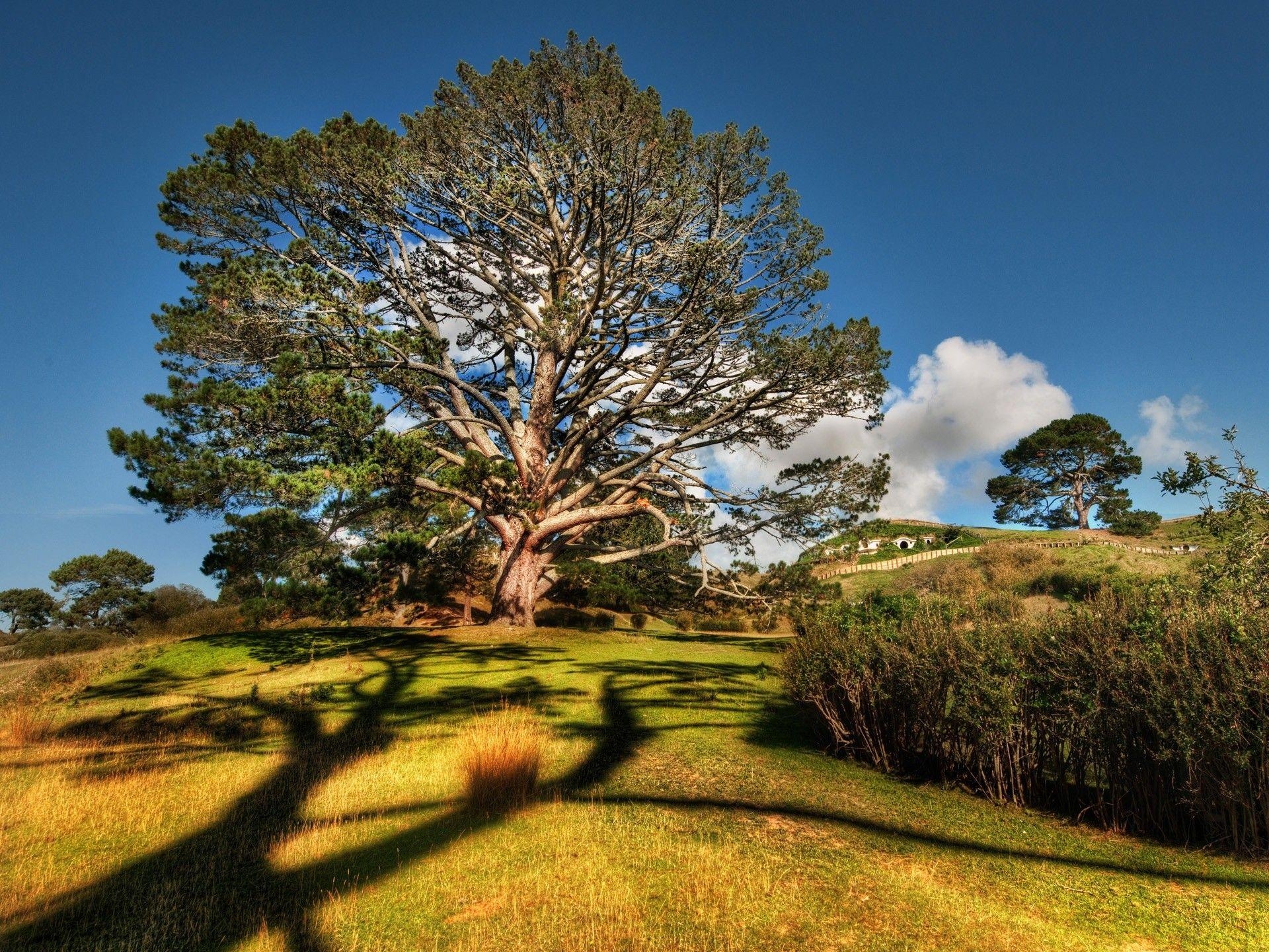 1920x1440 Field: Tree Shire Blue Sky Field Bilbos Hobbit Hole Party Fields, Desktop