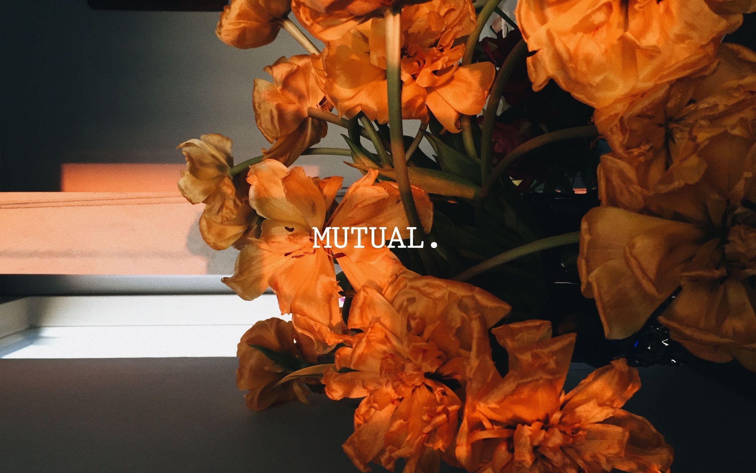 2560x1600 mutual macbook wallpaper. Macbook wallpaper, Aesthetic desktop wallpaper, Desktop wallpaper macbook, Desktop