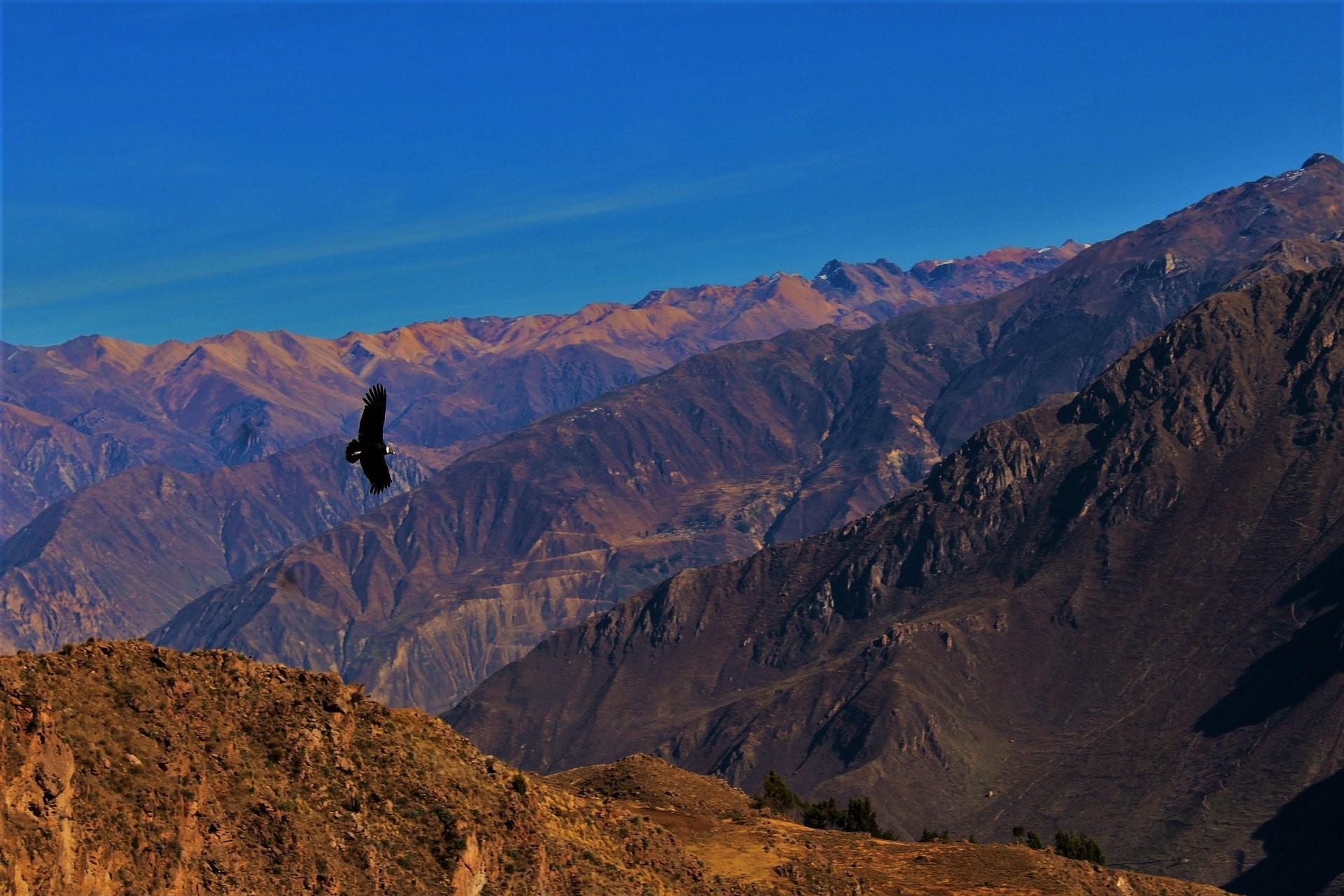 1920x1280 The Ultimate Trekking Guide to the Colca Canyon, Peru, Desktop