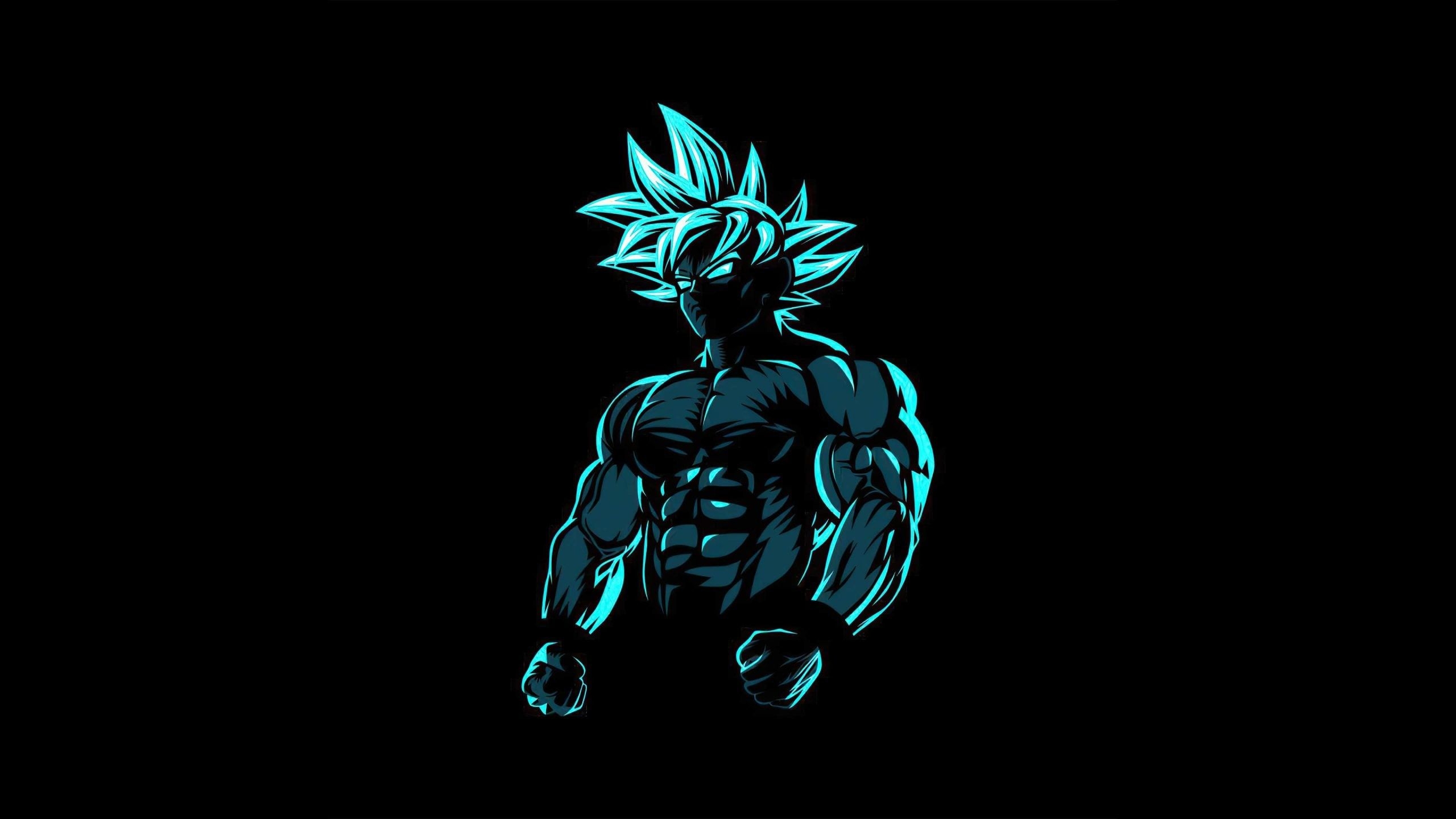 2560x1440 Goku 4k Wallpaper, Desktop