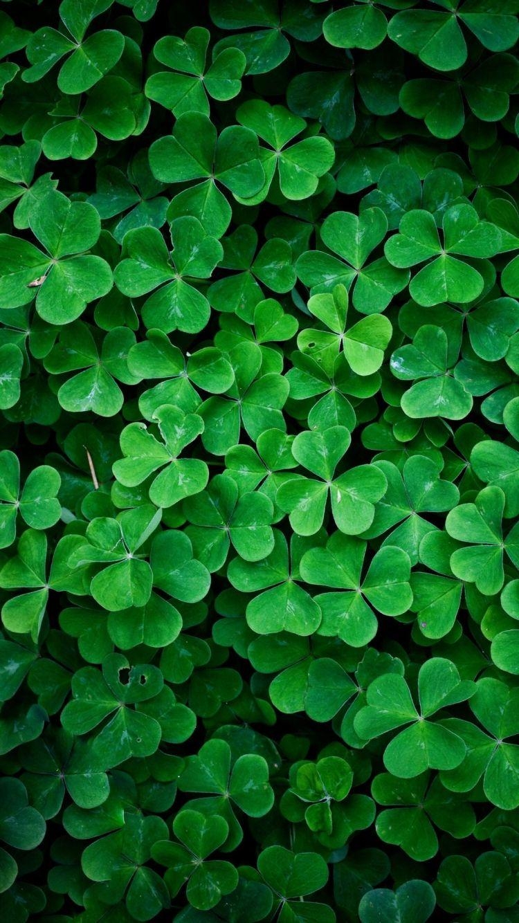 750x1340 Lucky Clover iPhone 6 Wallpaper HD, Phone