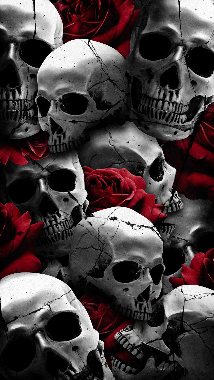 900x1600 Rose Skulls IPhone Wallpaper Wallpaper, iPhone Wallpaper. Skull wallpaper, Skull wallpaper iphone, Black skulls wallpaper, Phone