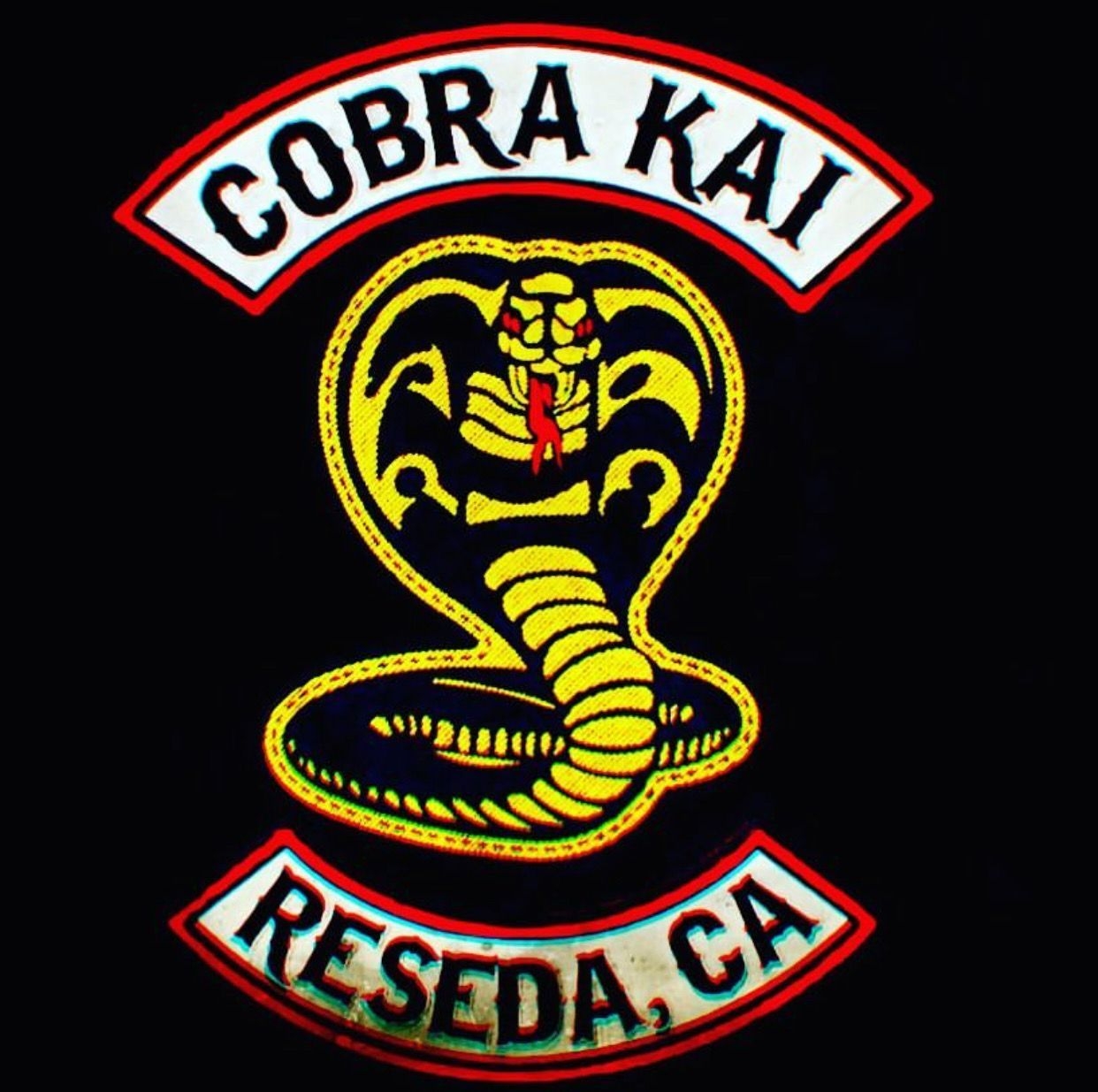 1250x1240 •KaRaTe KiD / CoBrA kAi•, Desktop