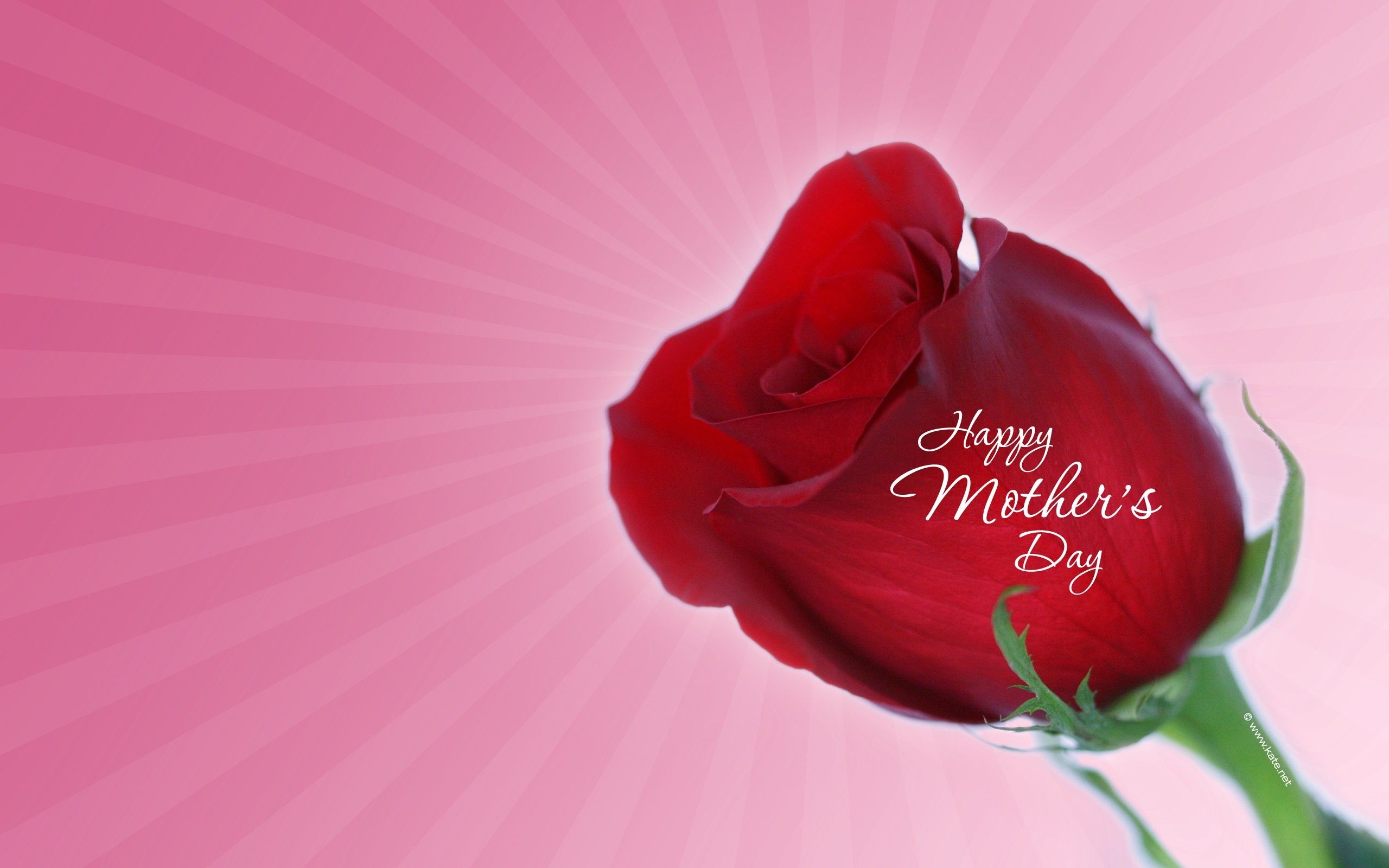 2560x1600 Mother's Day backgroundDownload free wallpaper for desktop, Desktop