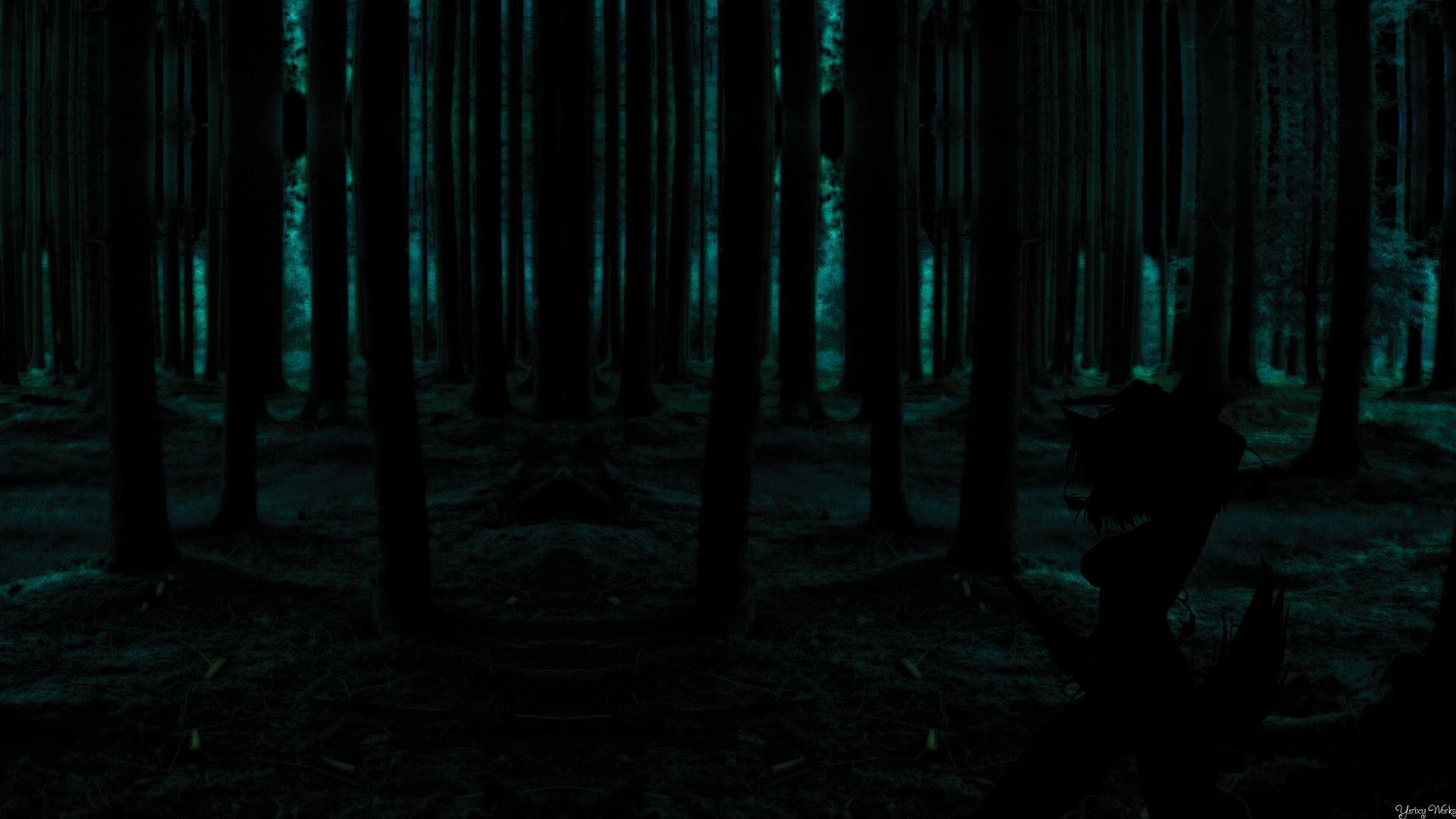 1920x1080 Dark Forest Wallpaper HD, Desktop