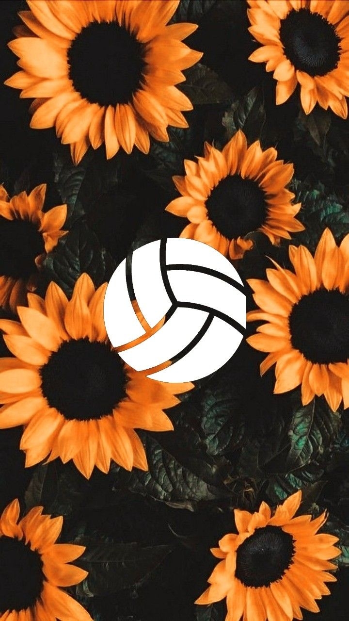 720x1280 Fondos de voleibol. Volleyball wallpaper, Cute flower wallpaper, Volleyball background, Phone