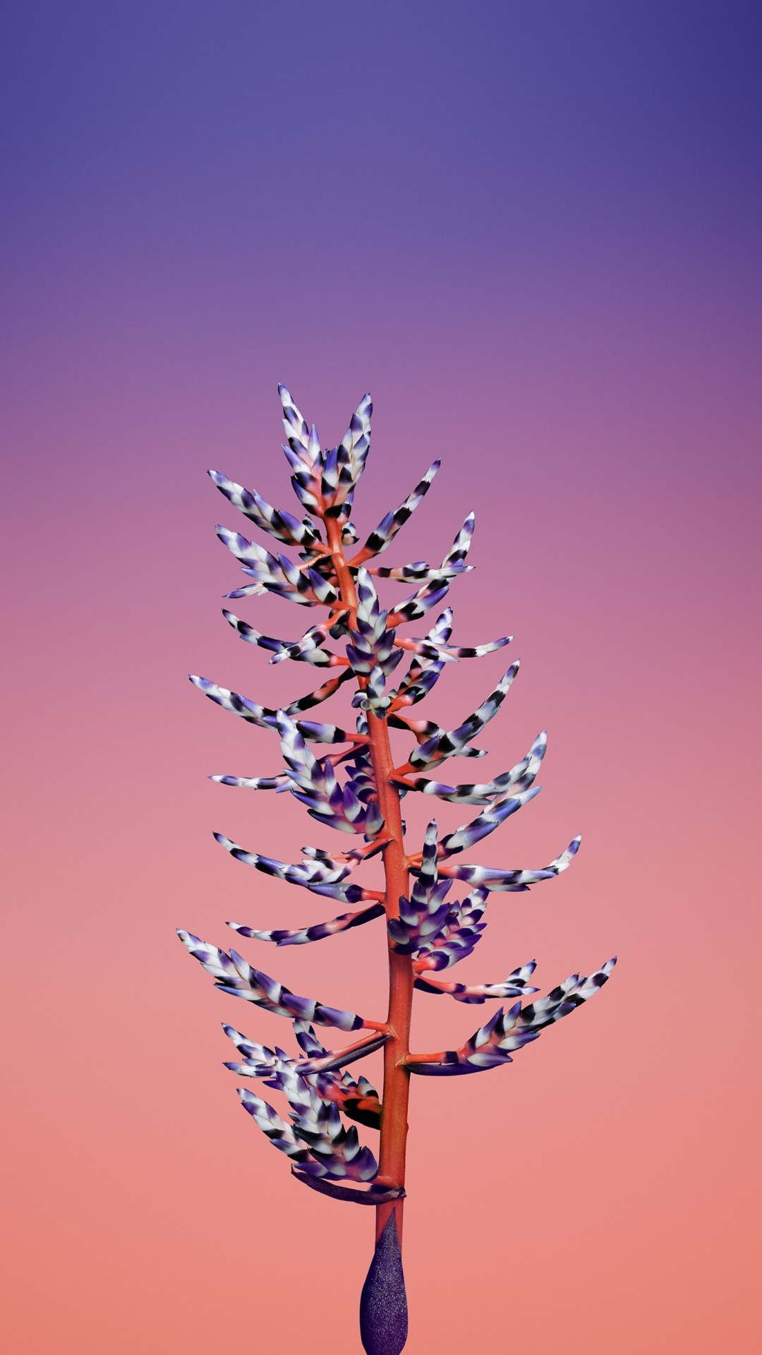 1080x1920 Wallpaper iPhone X wallpaper, iPhone flower, iOS retina, 4k, HD, WWDC OS, Phone