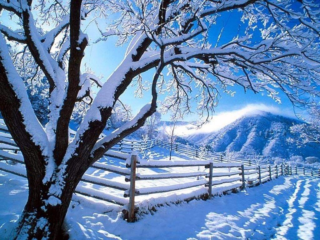 1030x770 Winter Nature Wallpaper Background 11380 Full HD Wallpaper, Desktop