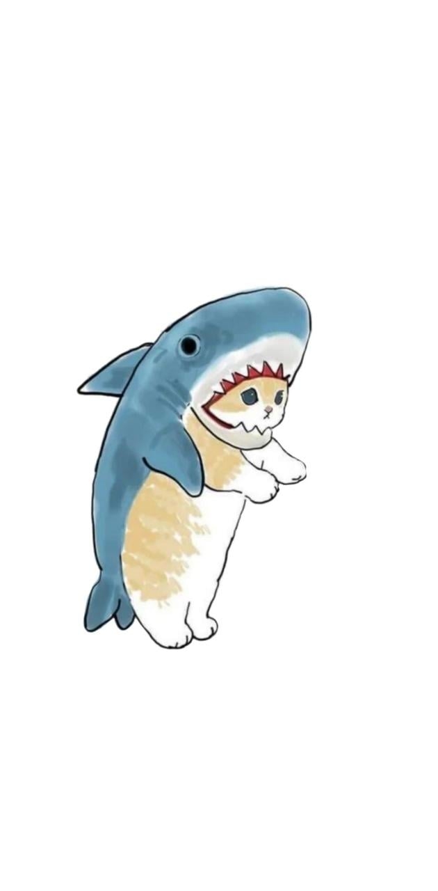 630x1280 Matching Shark Cat Wallpaper, Phone