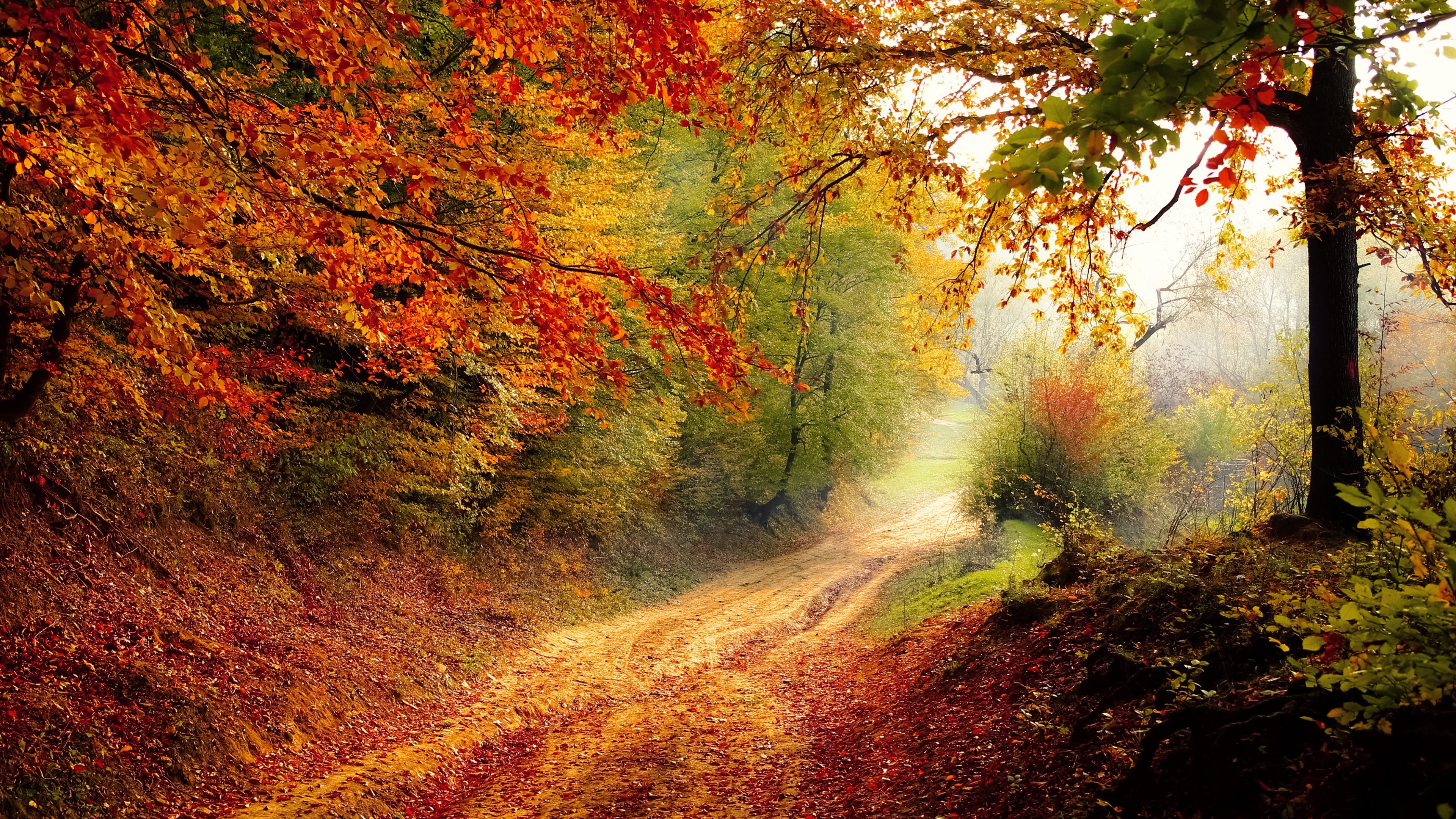 3840x2160 4K Autumn Road Wallpaper HD, Desktop