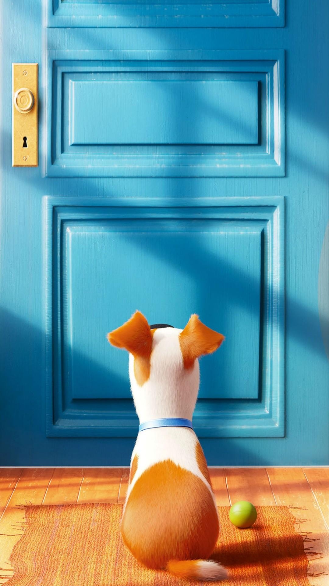 1080x1920 Wallpaper The Secret Life of Pets, Best Animation Movies of 2016, Phone