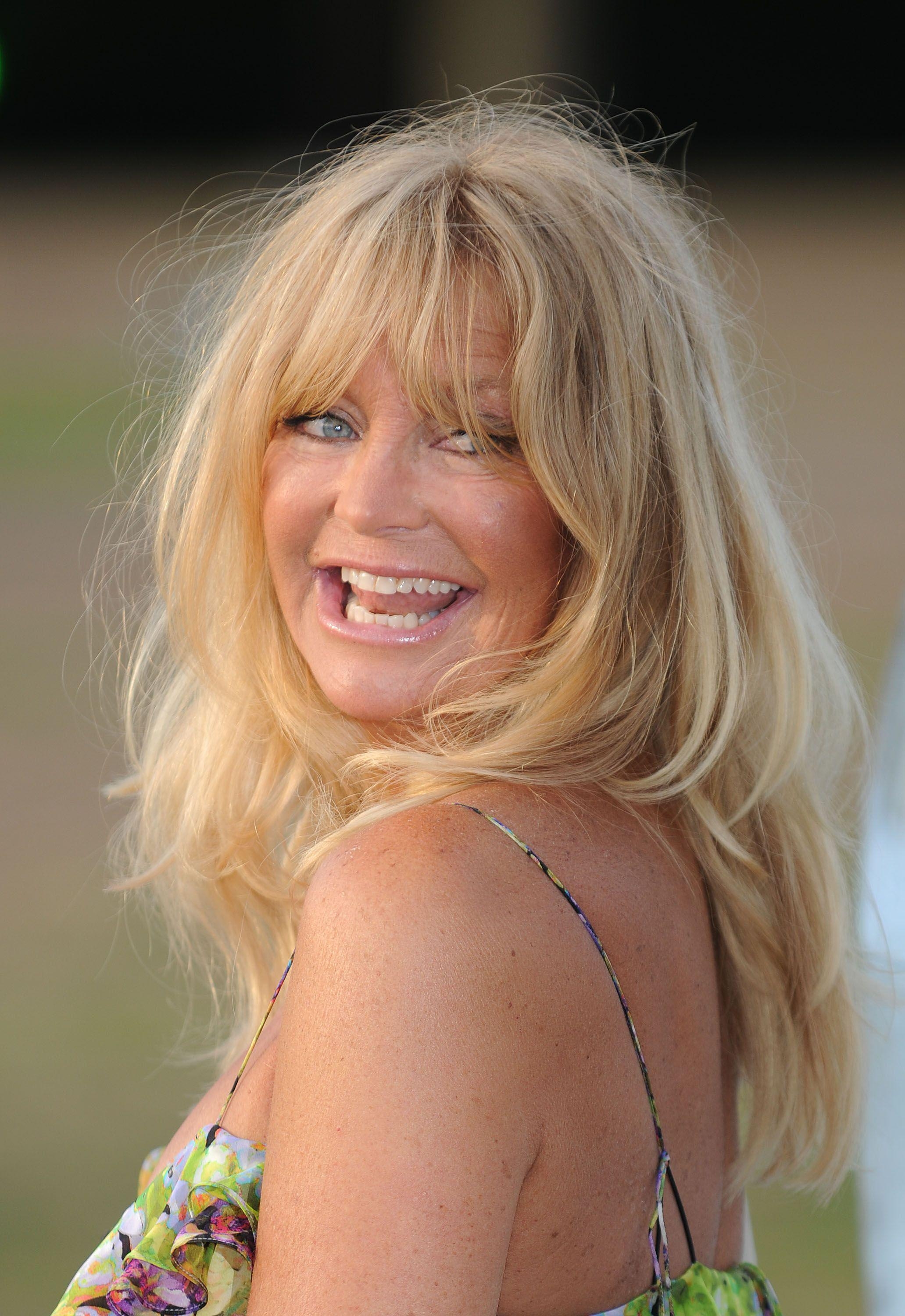 2070x3000 Goldie Hawn image The Elephant Parade auction 2010 HD wallpaper, Phone