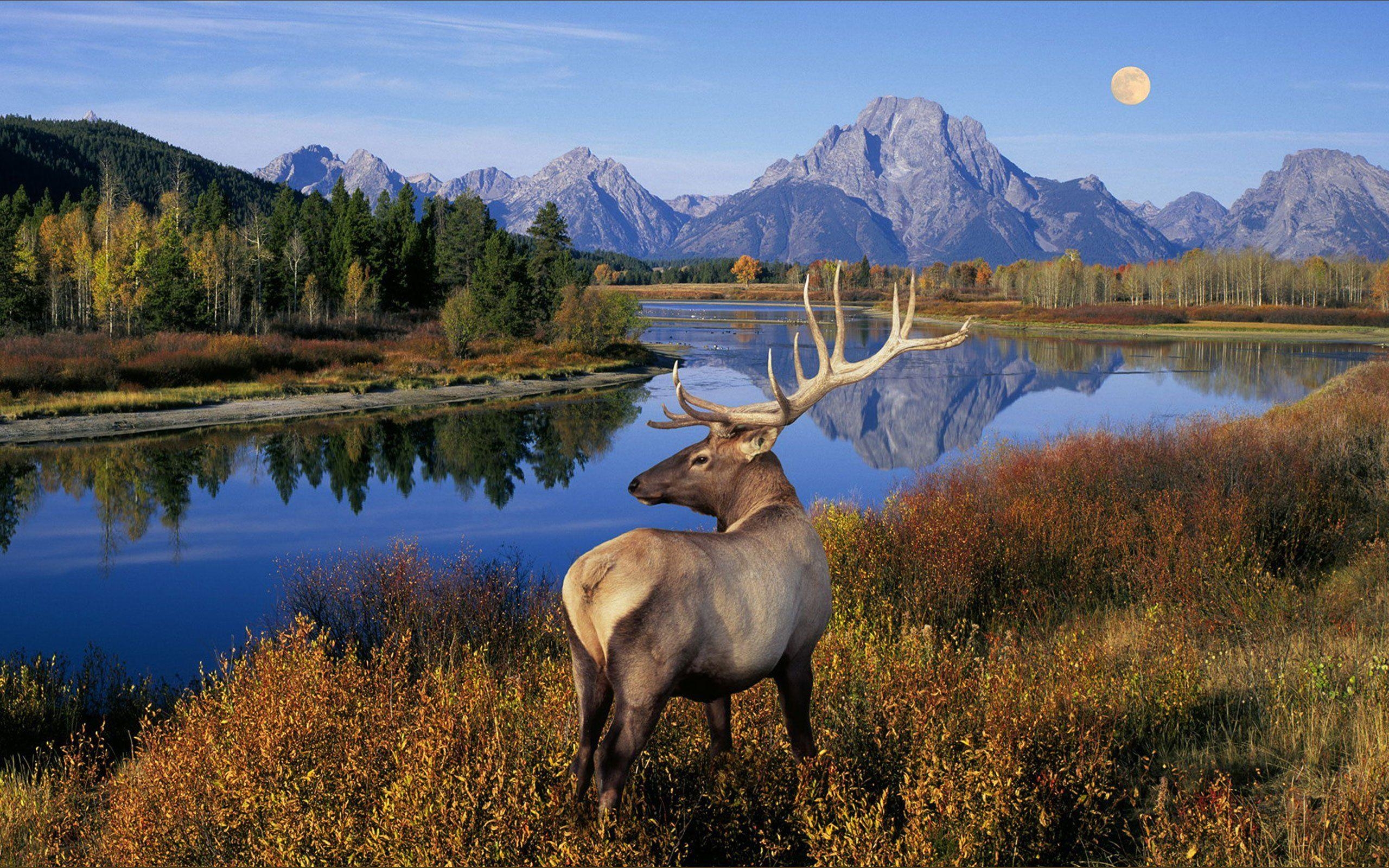 2560x1600 Grand Teton National Park Wallpaper 794084, Desktop