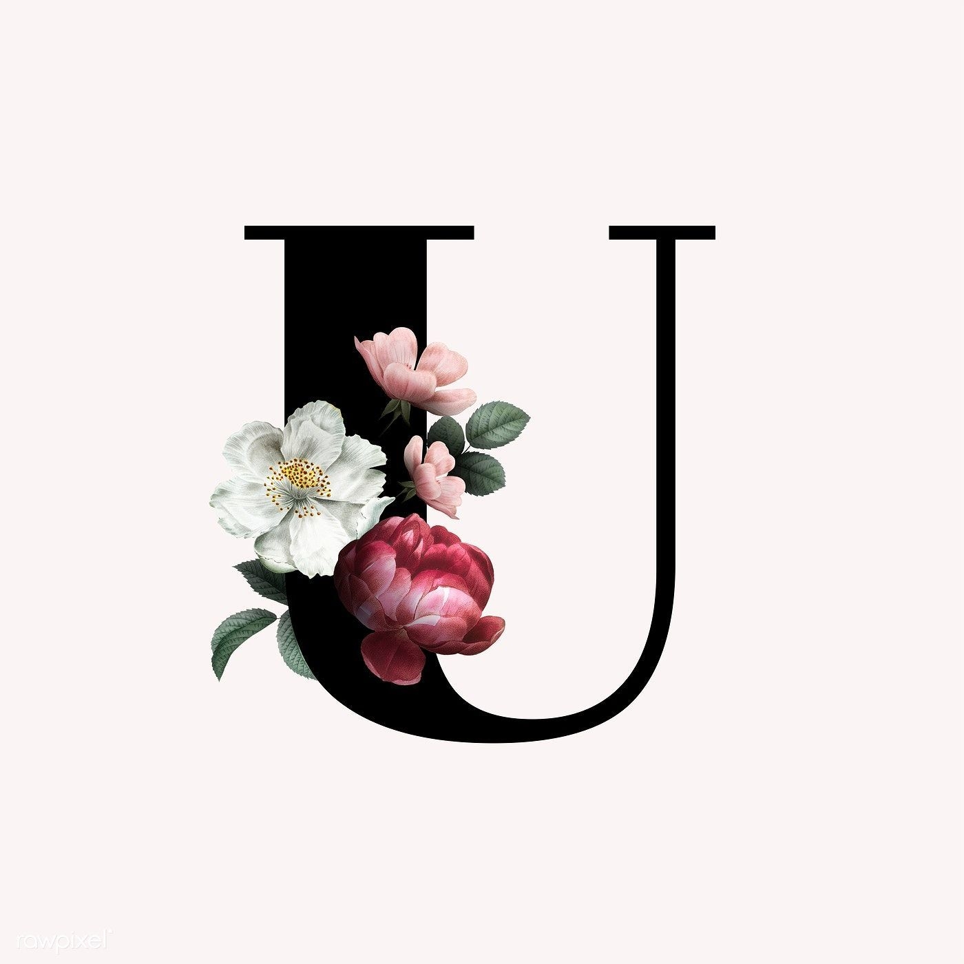 1400x1400 Classic and elegant floral alphabet font letter U, Phone