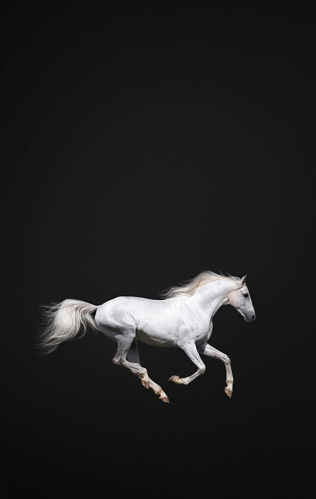 1080x1710 Beautiful Horse iPhone Wallpaper, Phone