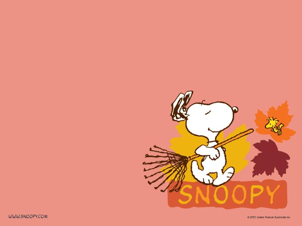 1030x770 Snoopy Full HD Wallpaper for FB Cover, Desktop